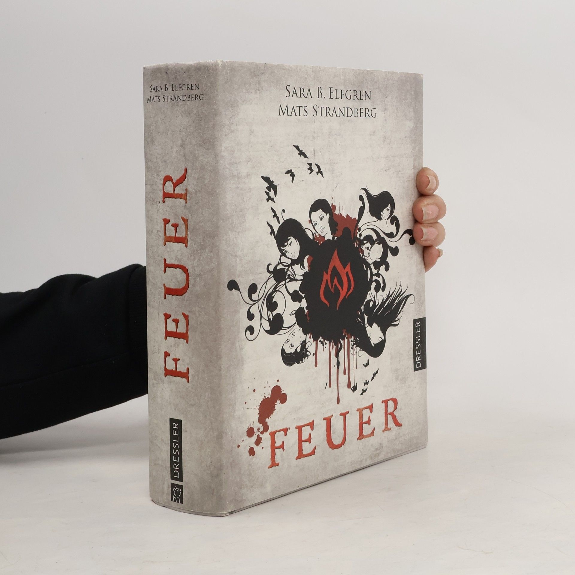Sara B. Elfgren Feuer. Engelsfors- Trilogie 2