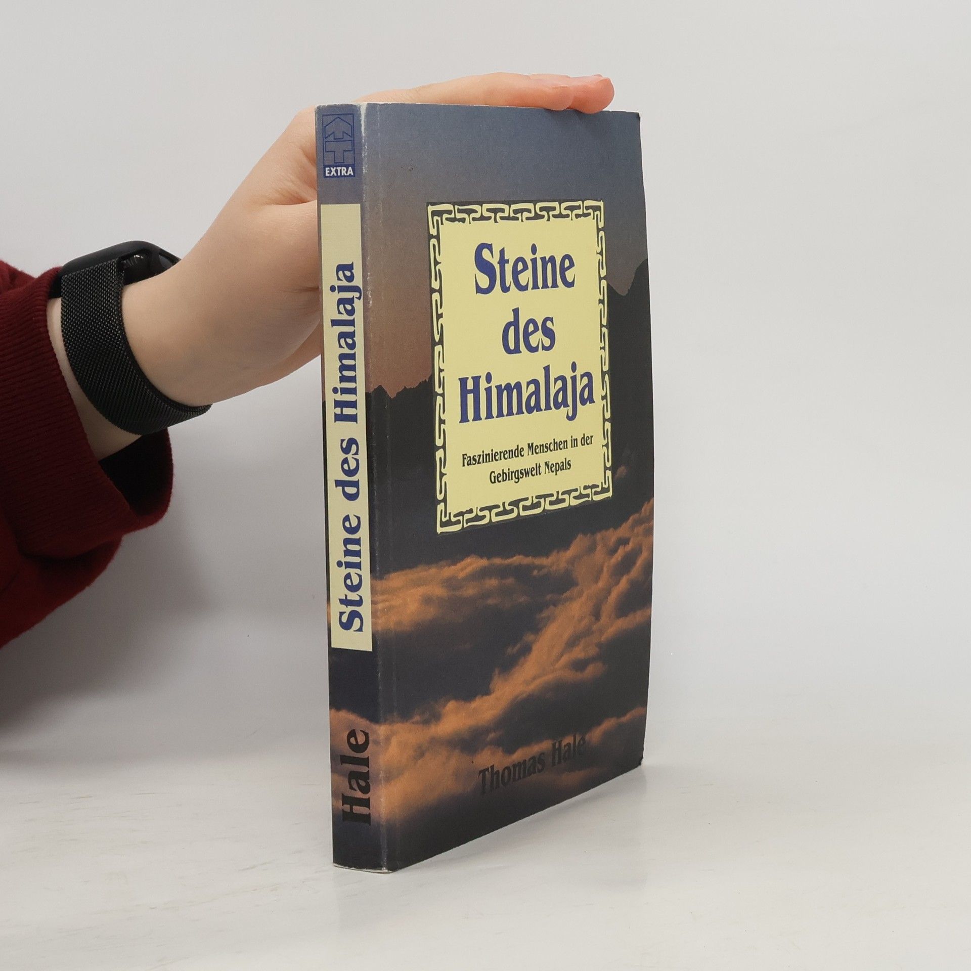 Steine des Himalaya