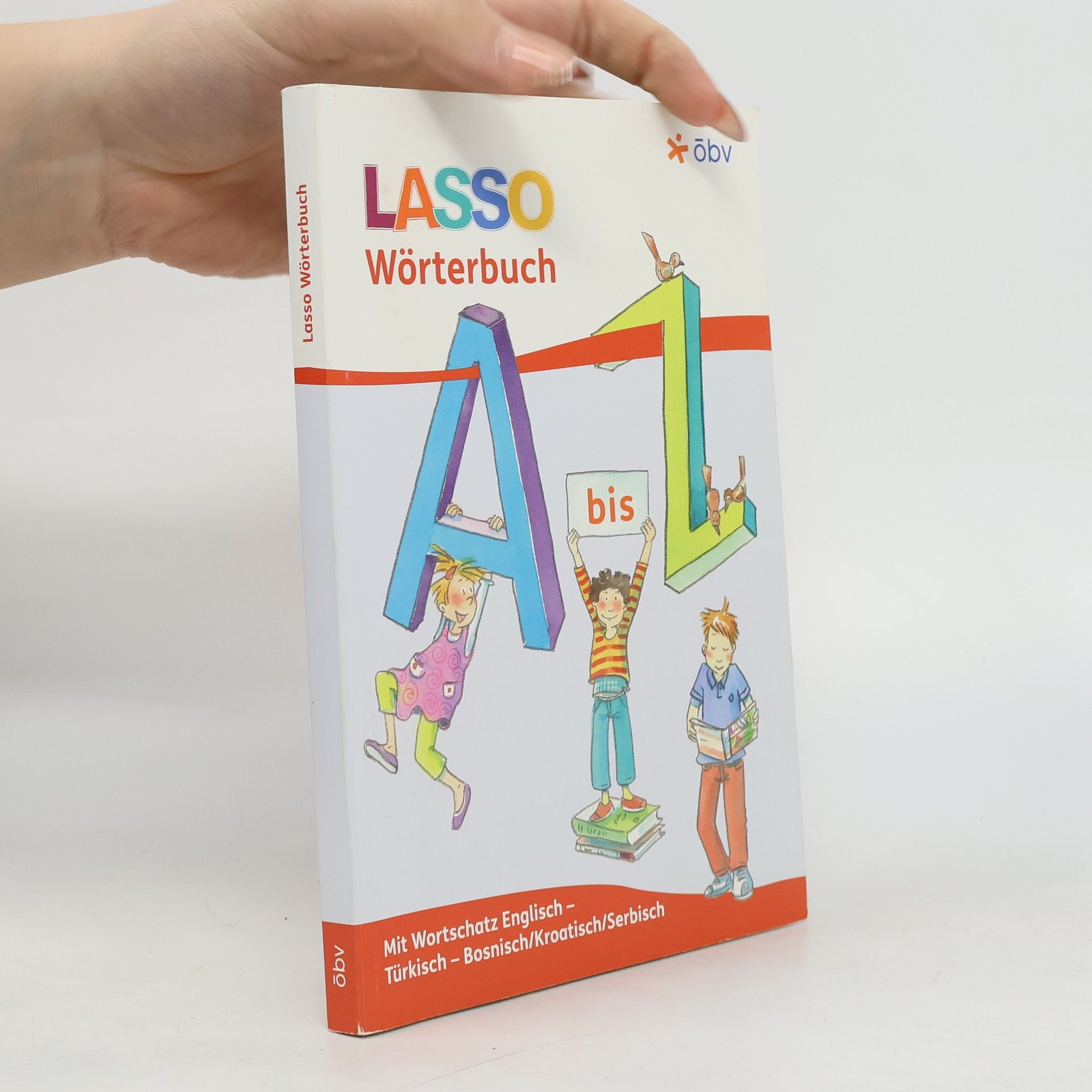 Kolektiv autorů Lasso Wörterbuch