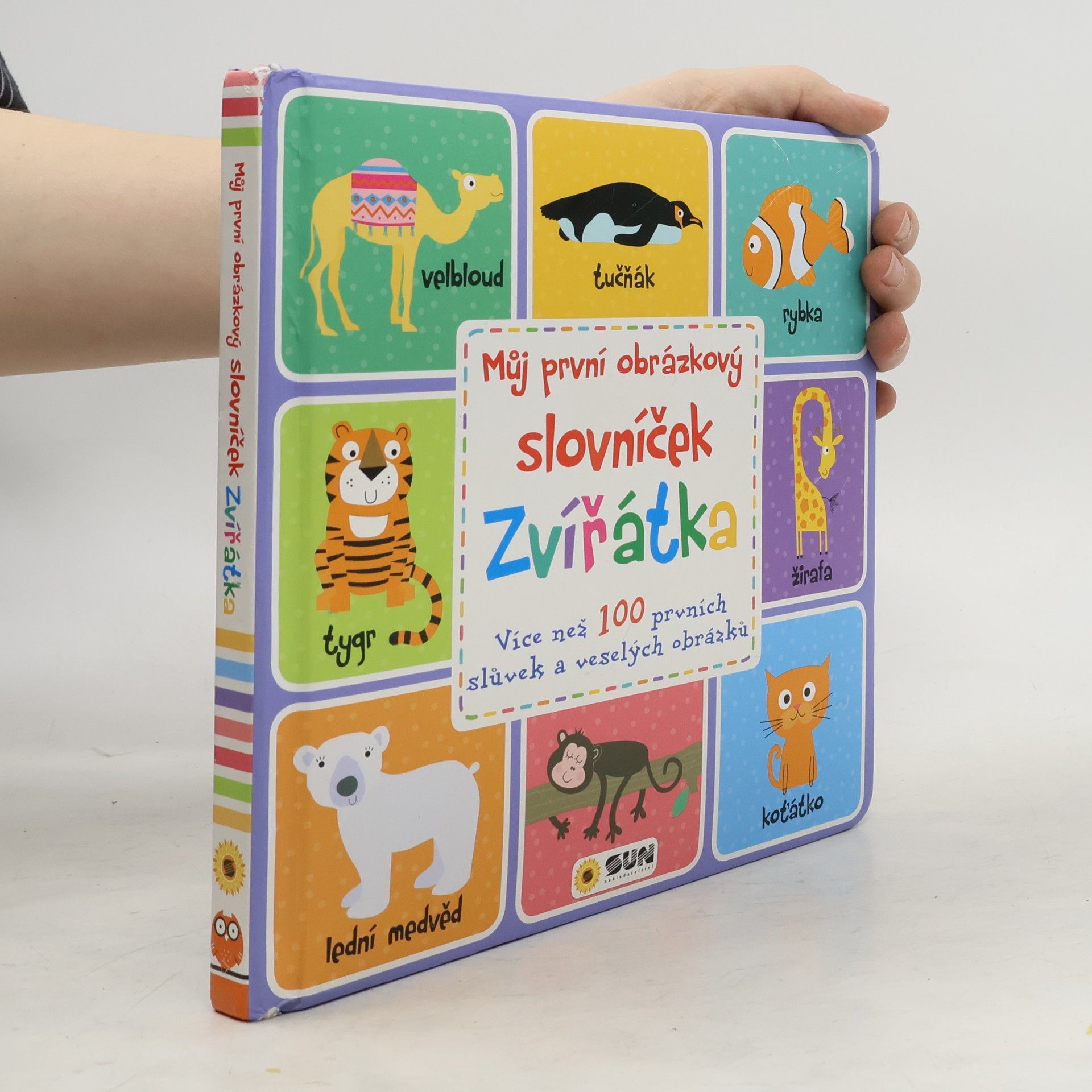 Maxine Davenport Můj první obrázkový slovníček