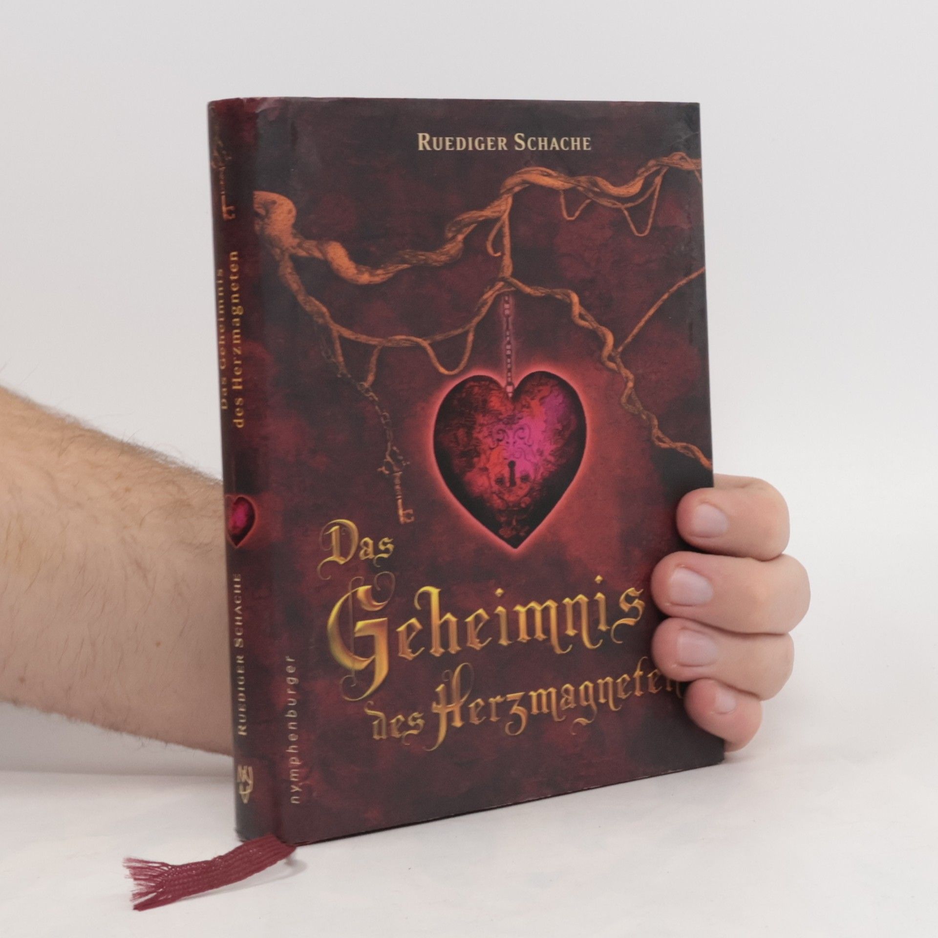 Ruediger Schache Das Geheimnis der Herzmagneten