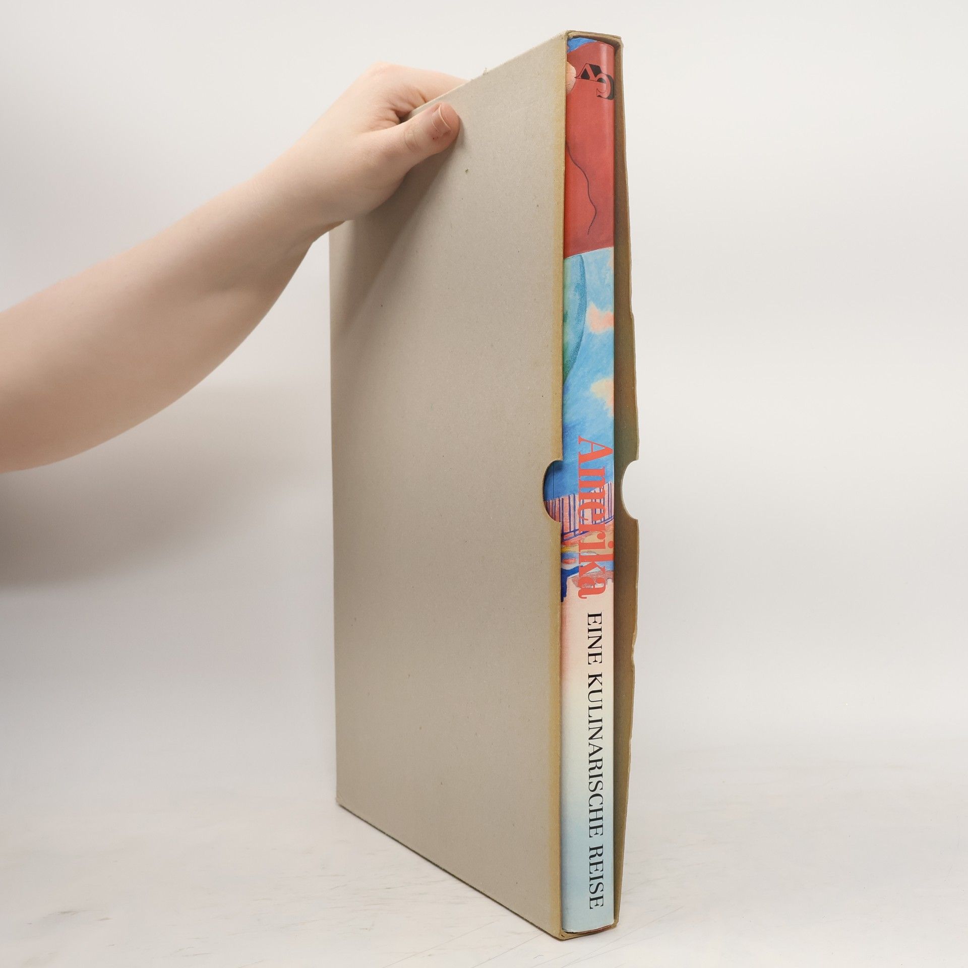 Phillip Stephen Schulz Amerika