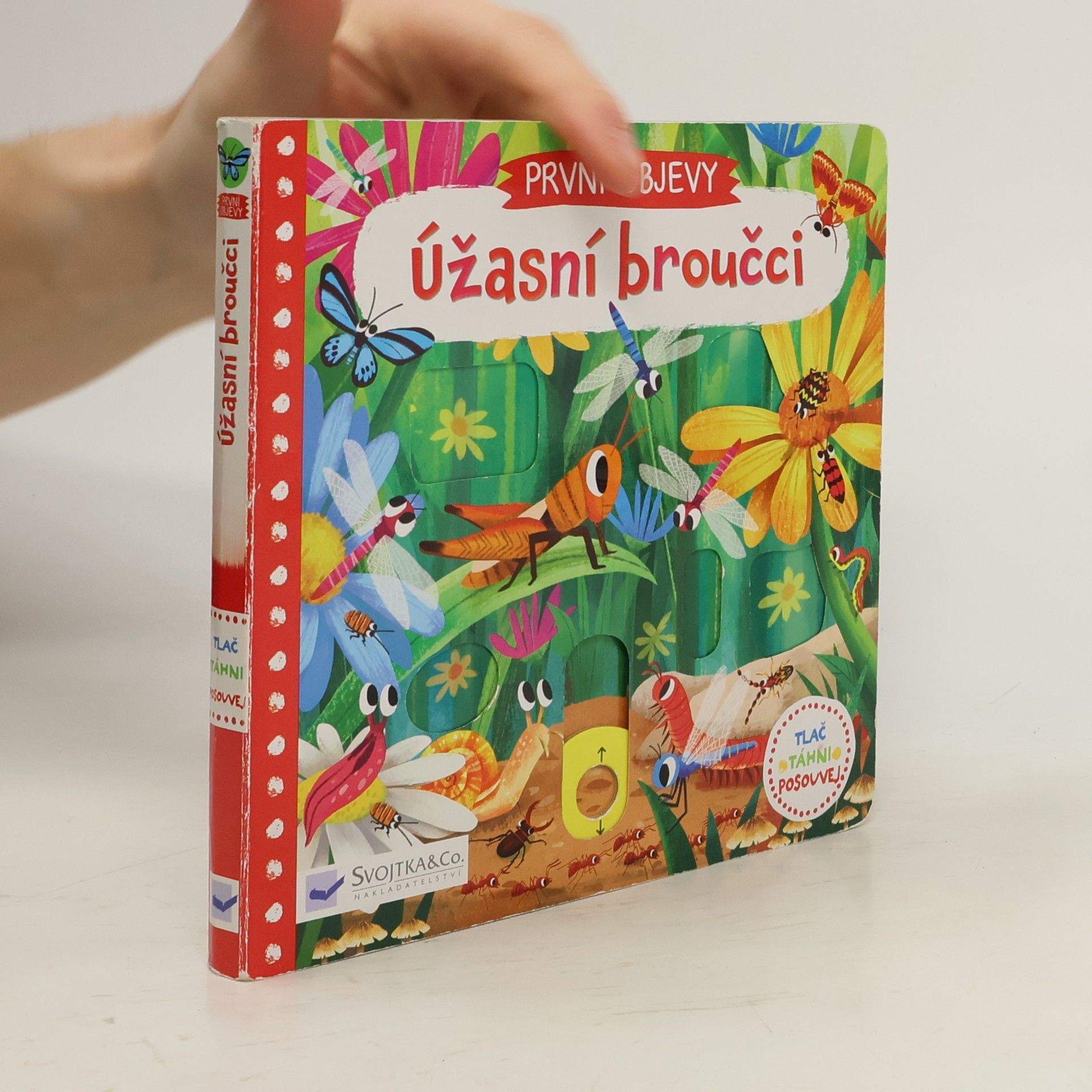 Jenny Wren První objevy: Úžasní broučci