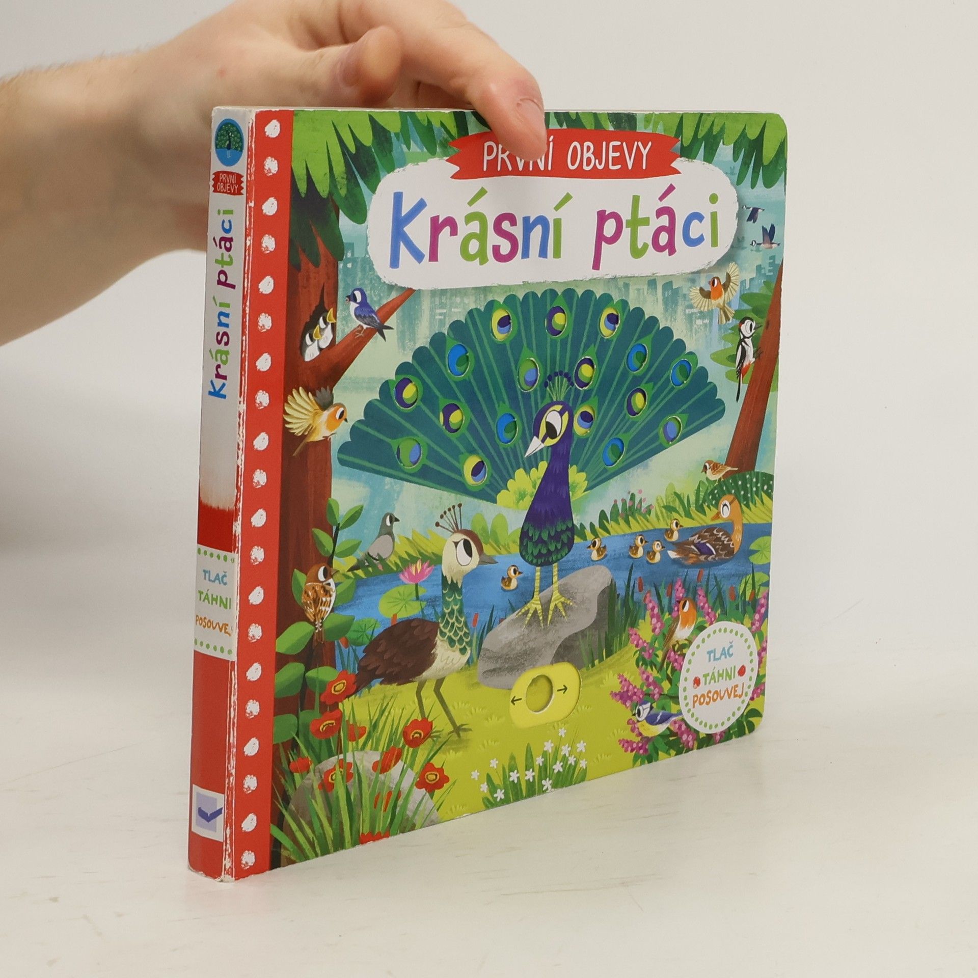 První objevy: Krásní ptáci