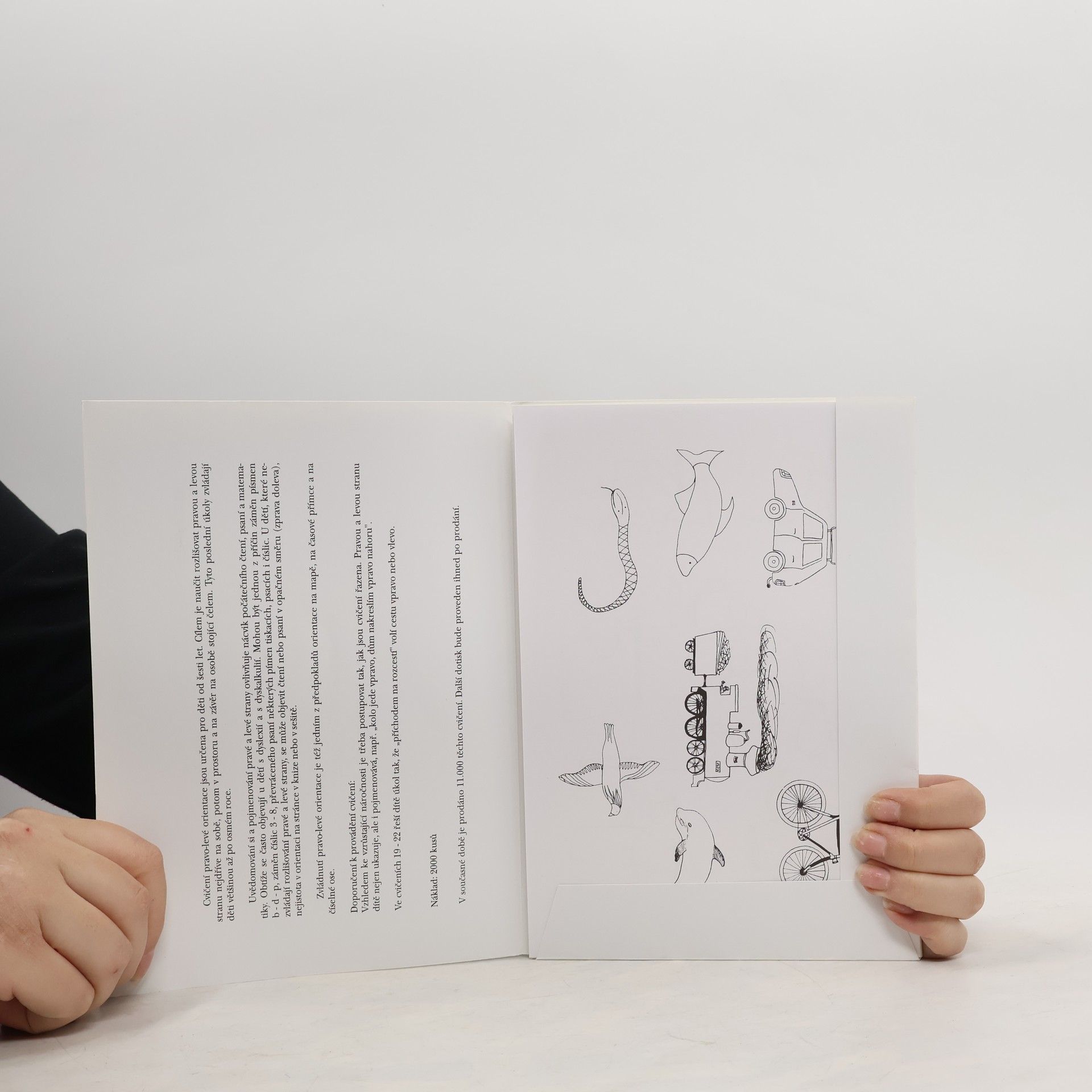Kolektiv autorů Cvičení pravo-levé orientace. Cvičení pro dyslektiky VI.