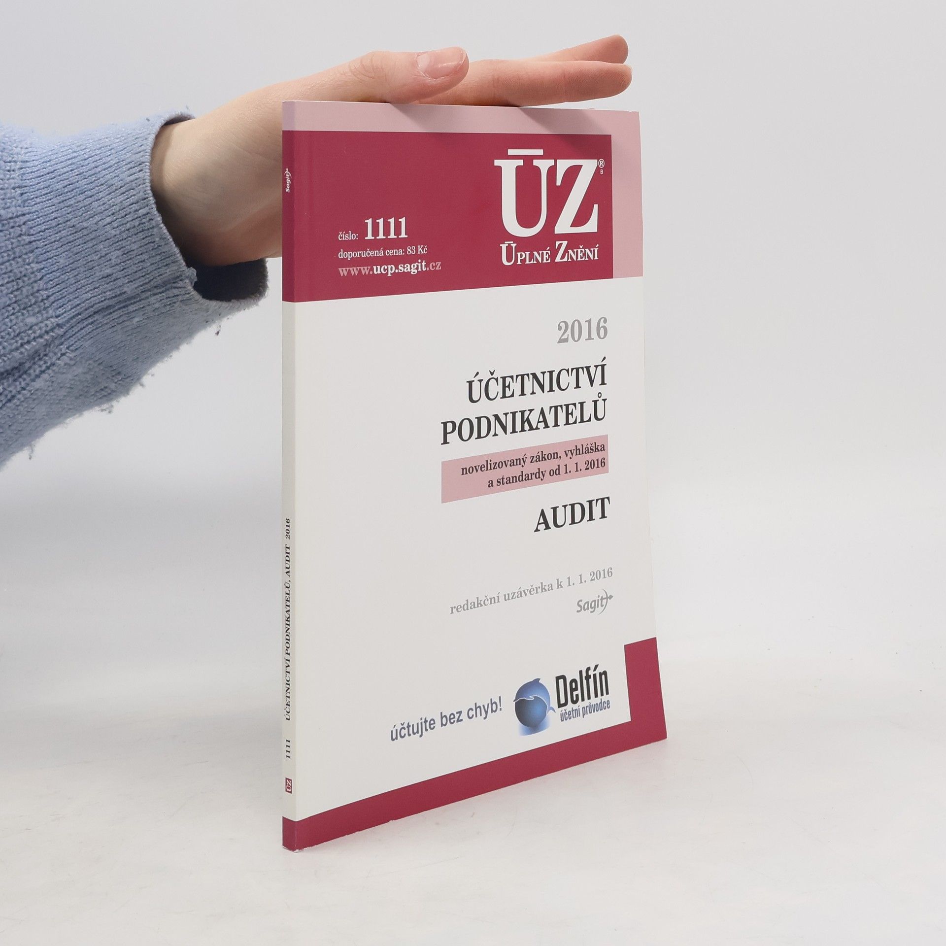 Česko Účetnictví podnikatelů 2016. Audit