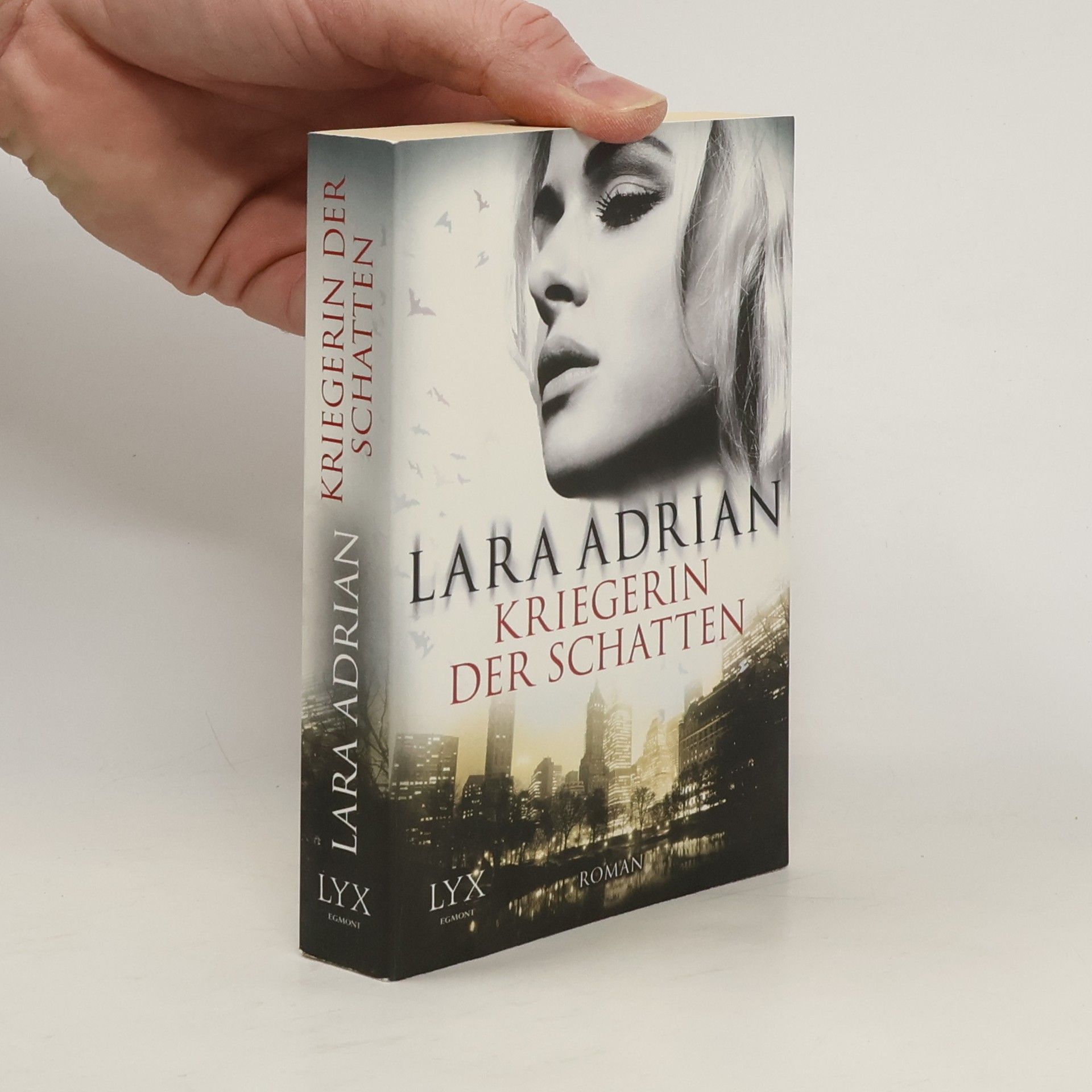 Lara Adrian Kriegerin der Schatten