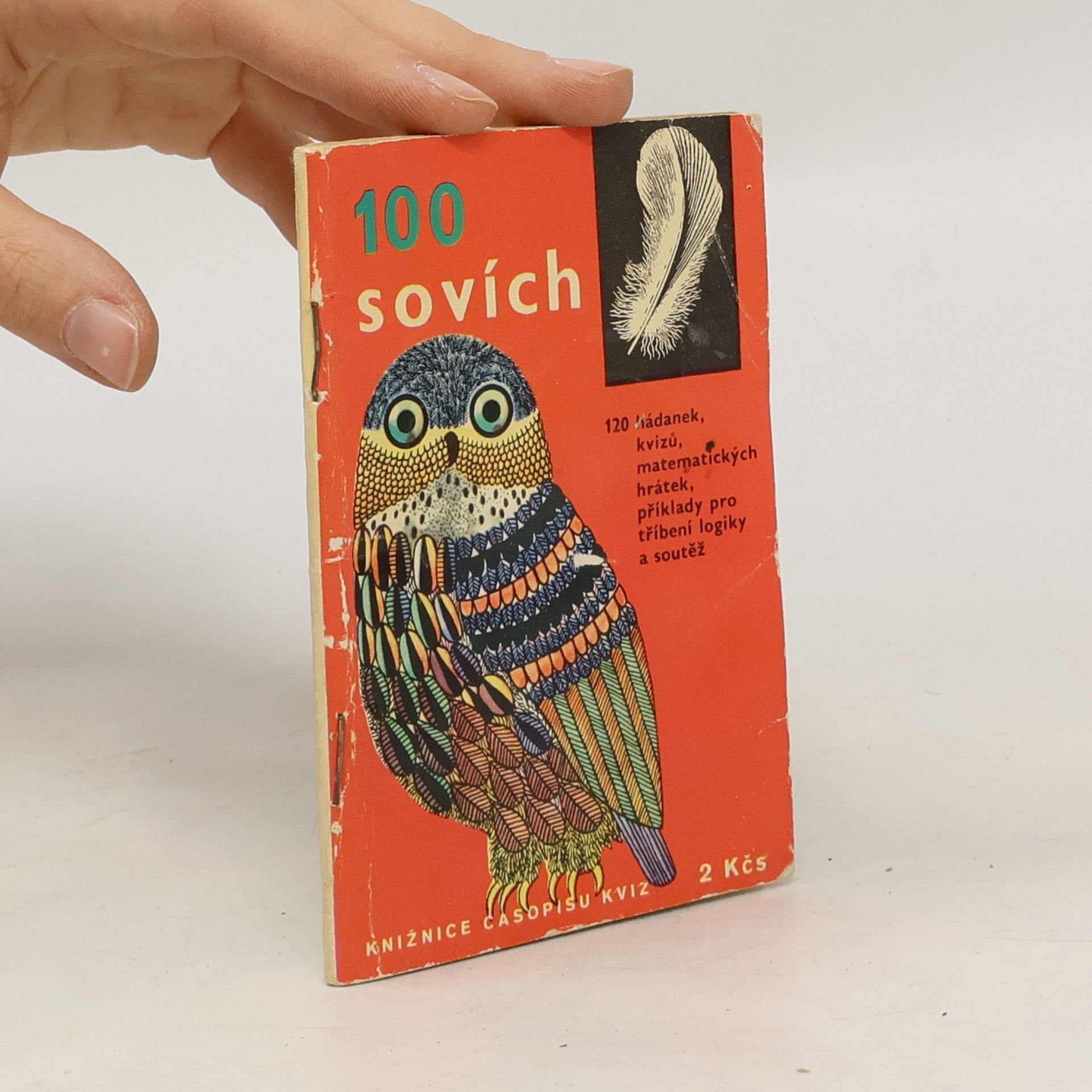 Autorenkollektiv 100 sovách pírek