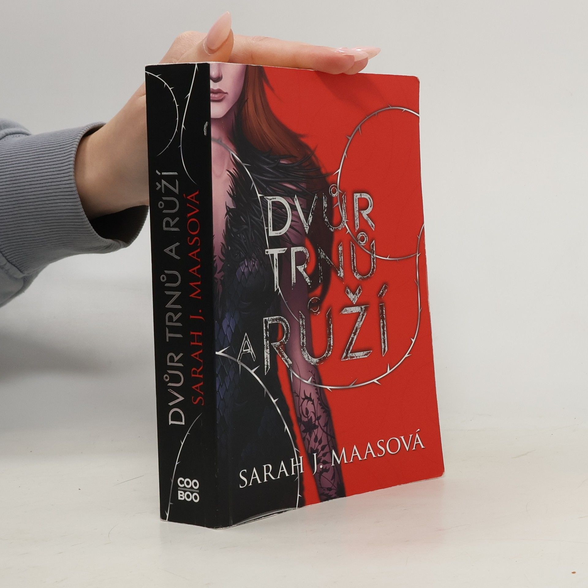 Sarah J. Maas Dvůr trnů a růží