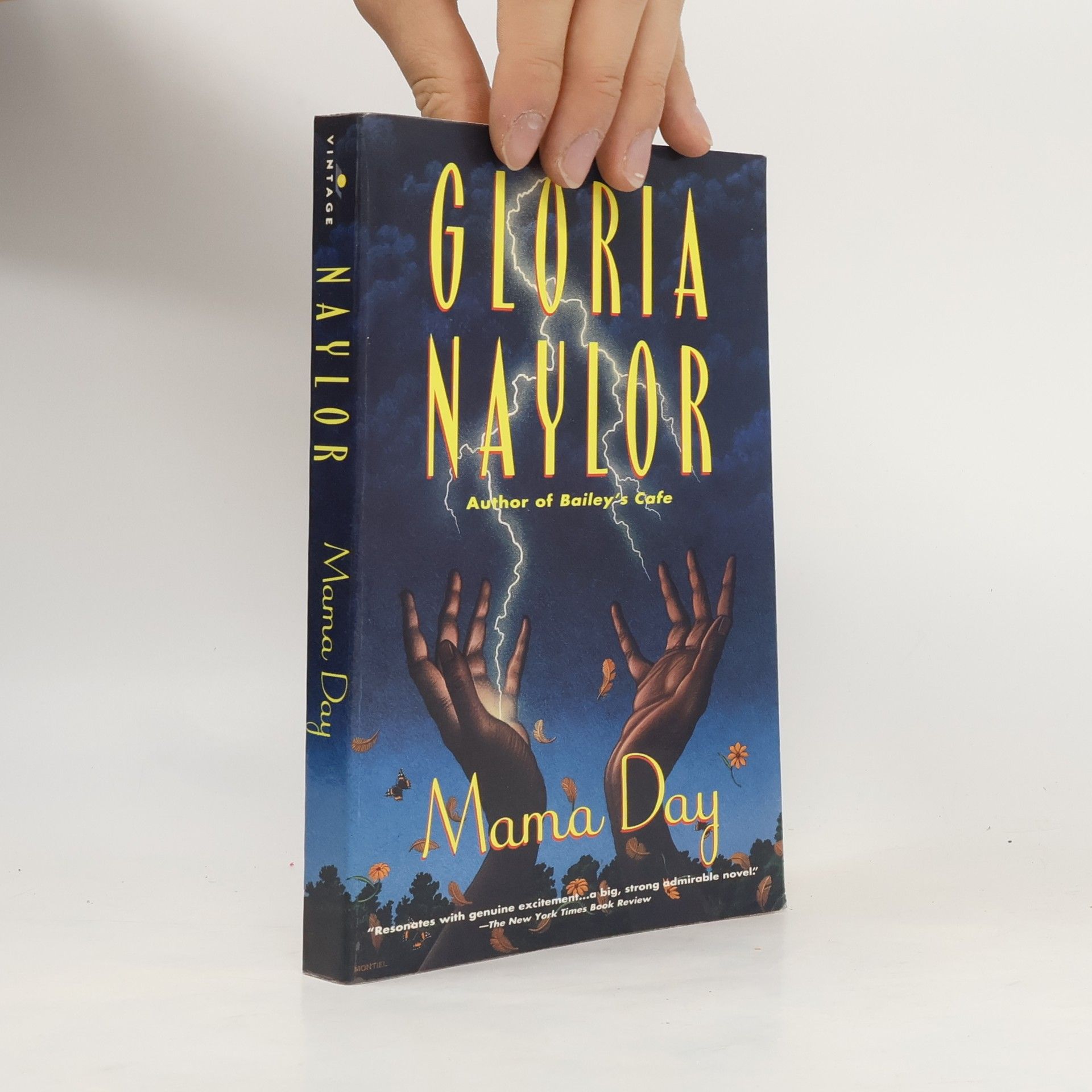 Gloria Naylor Mama Day