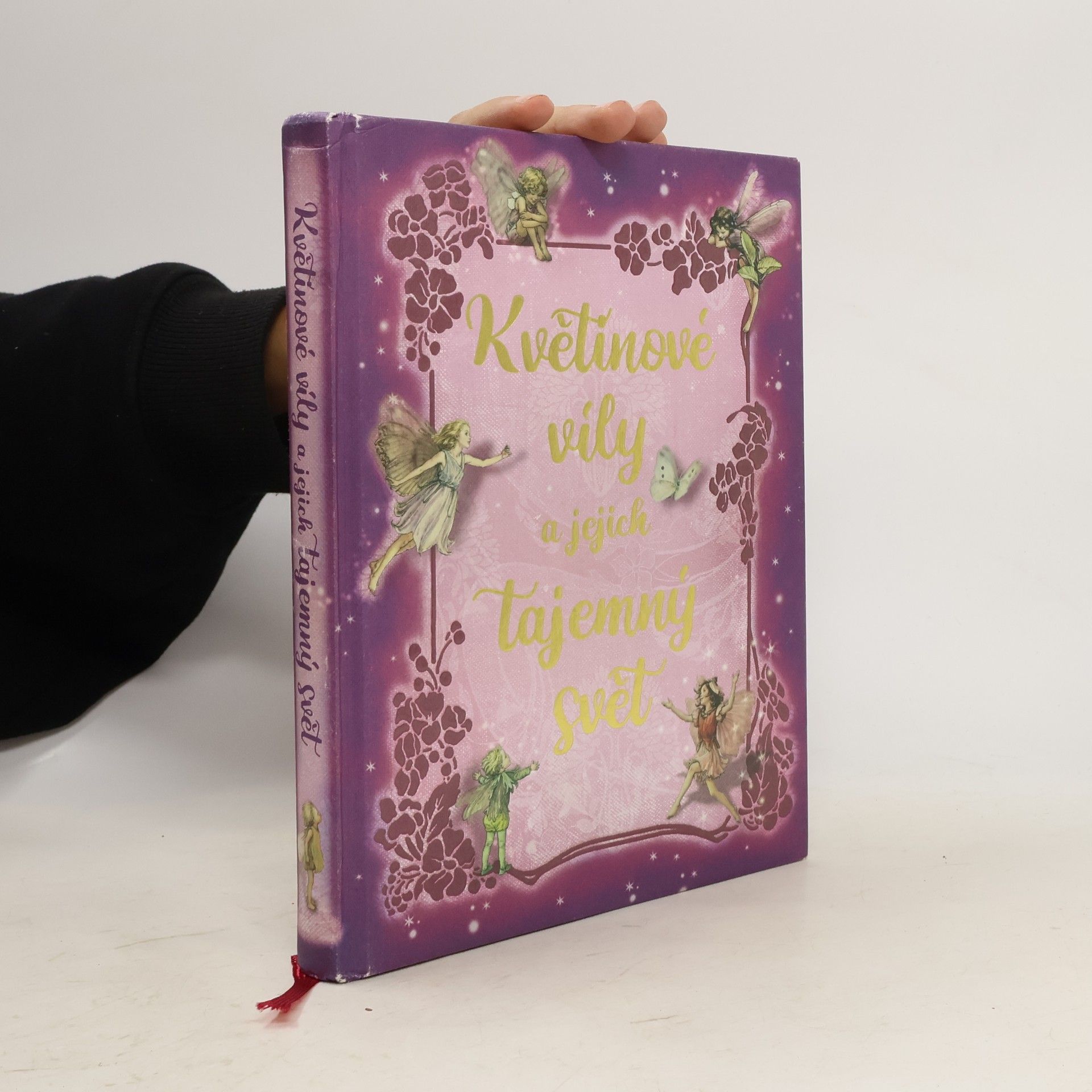 Květinové víly a jejich tajemný svět