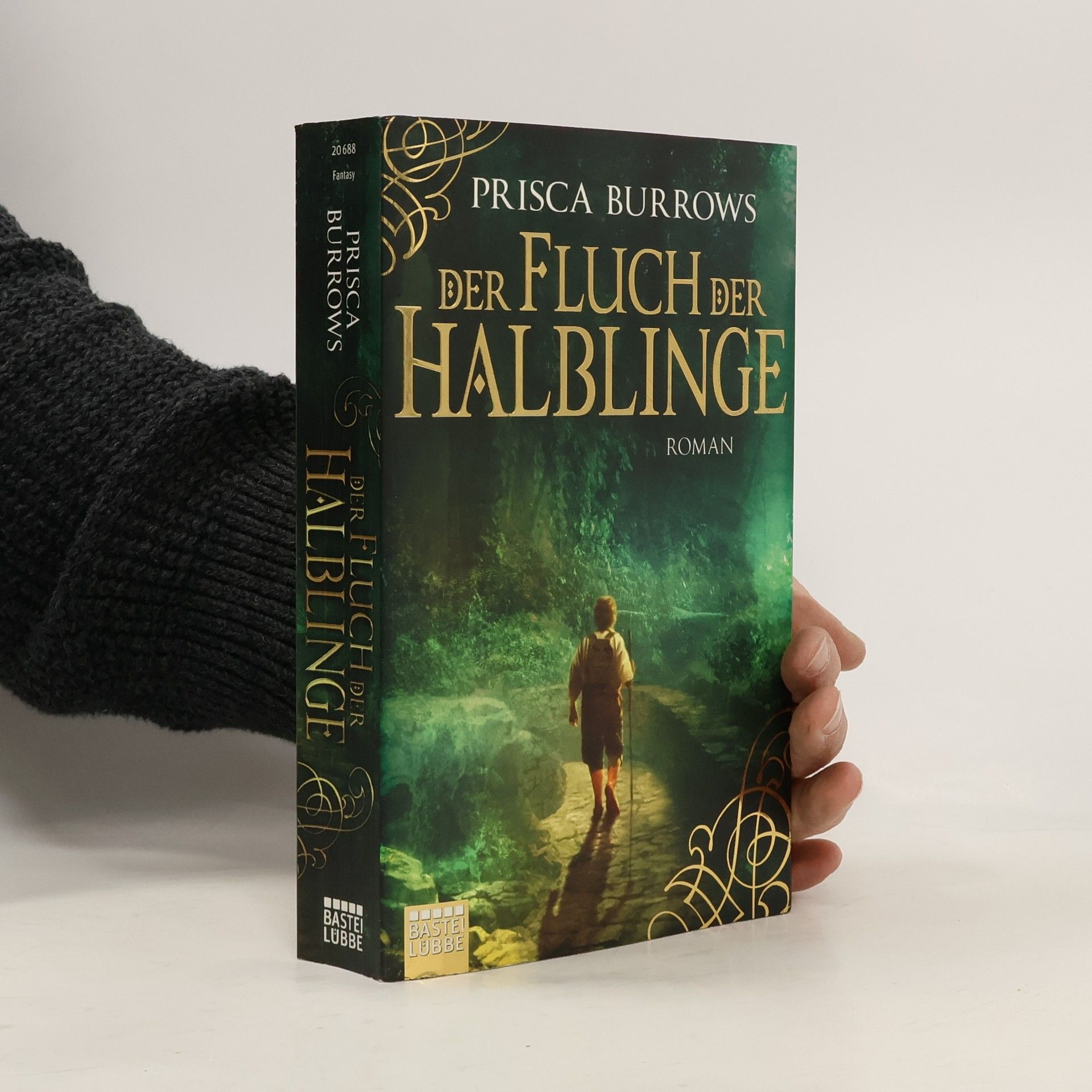 Der Fluch der Halblinge