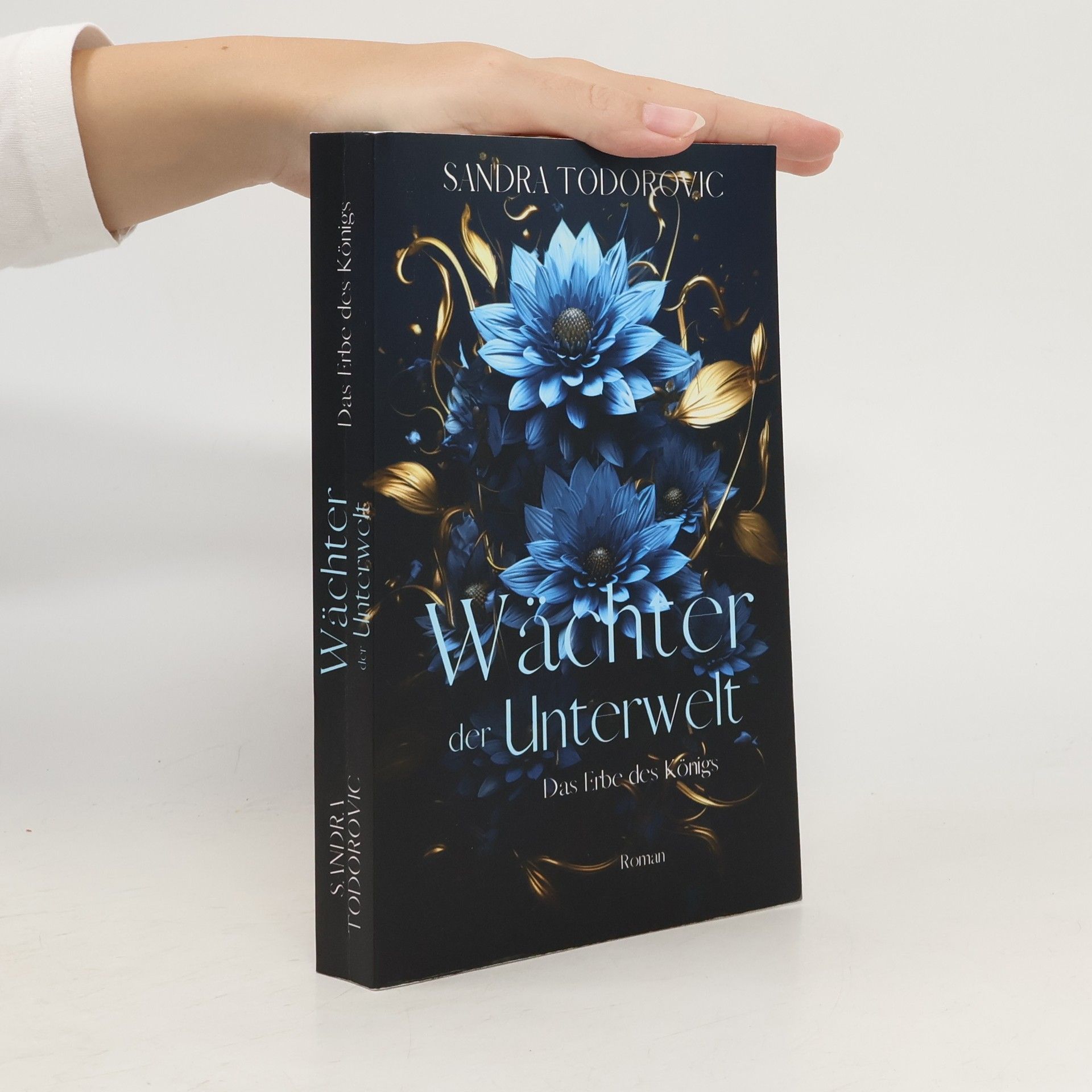 Sandra Todorovic Wächter der Unterwelt