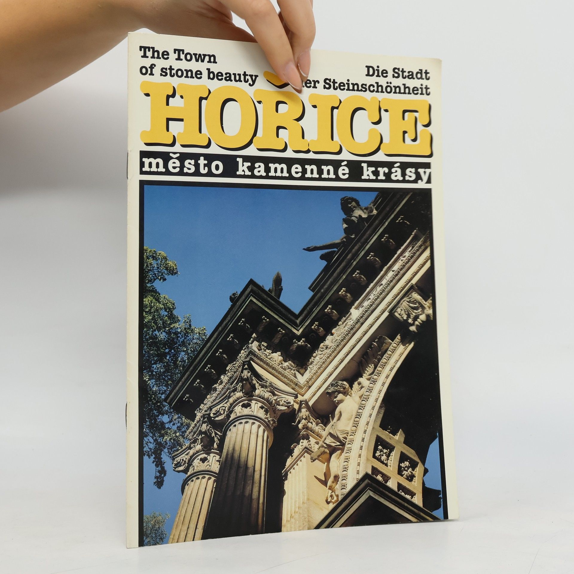 Kolektiv autorů Hořice. Město kamenné krásy