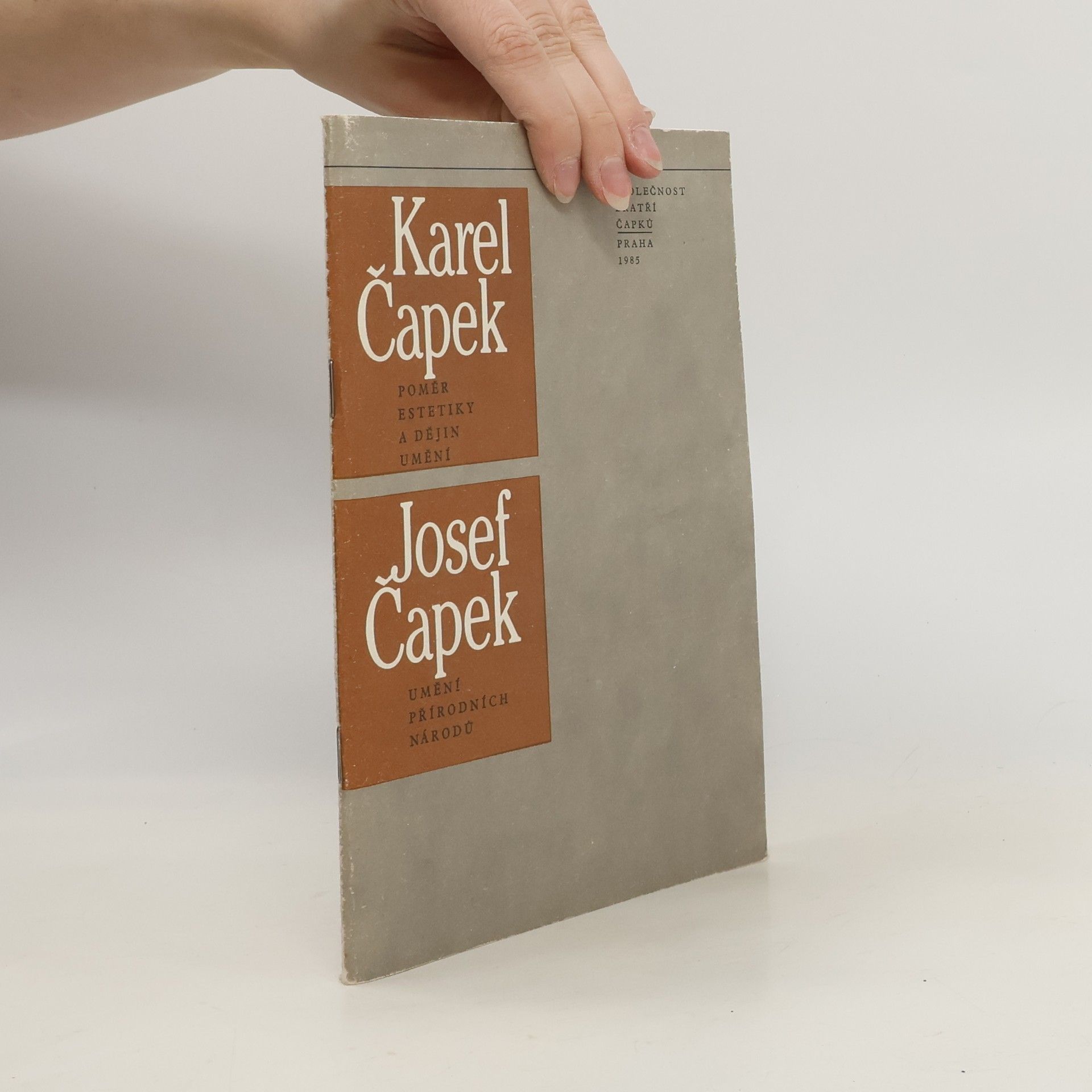 Karel Čapek Poměr estetiky a dějin umění