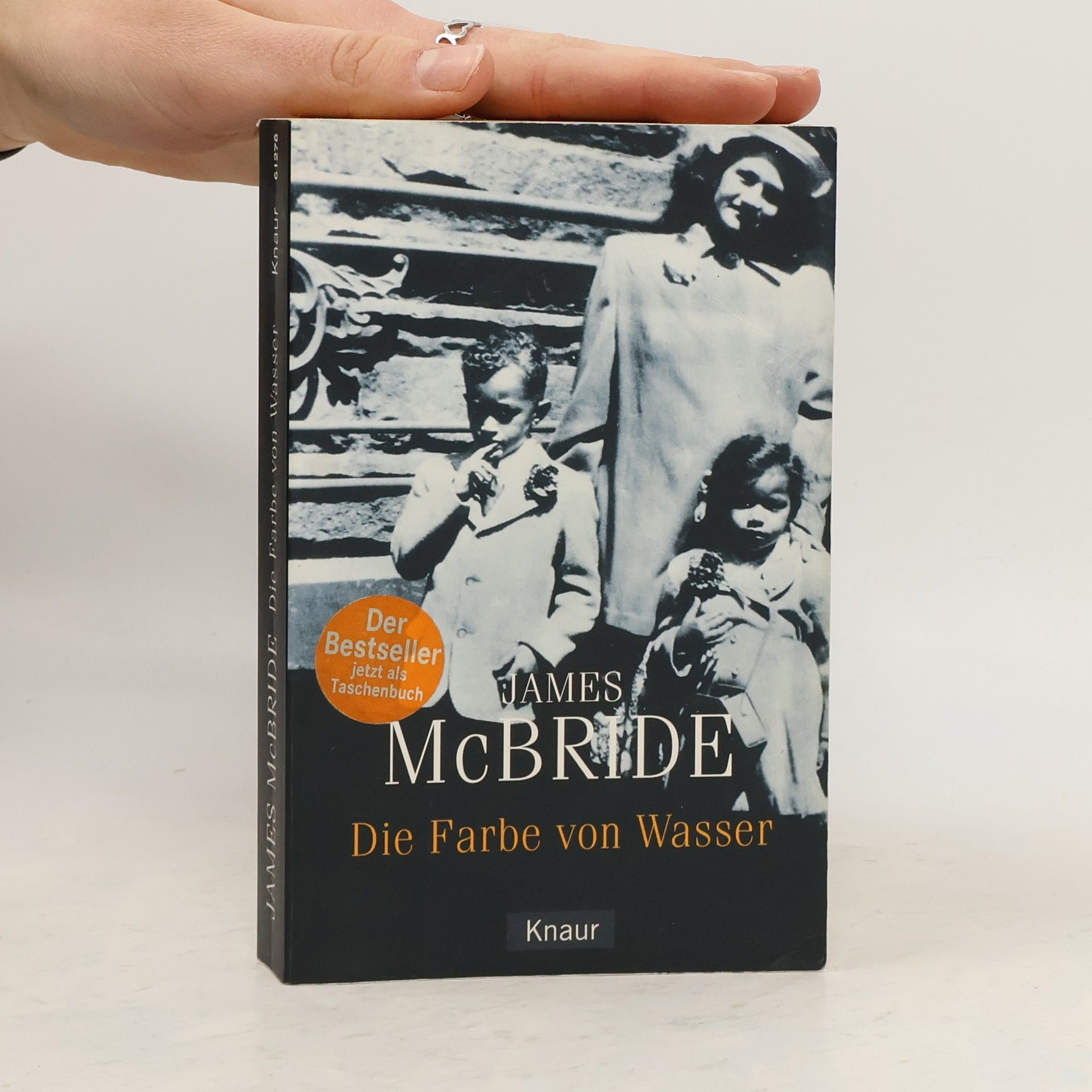 James McBride Die Farbe von Wasser