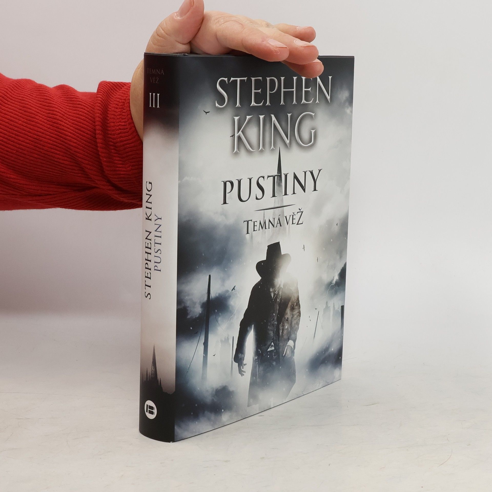 Temná věž: Pustiny