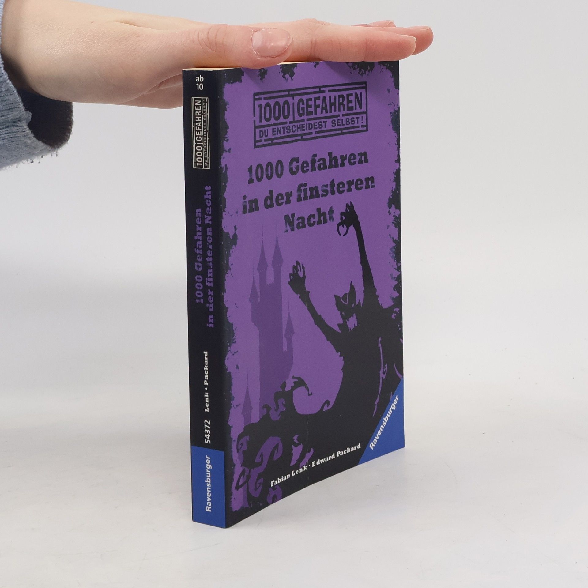 Fabian Lenk 1000 Gefahren in der finsteren Nacht