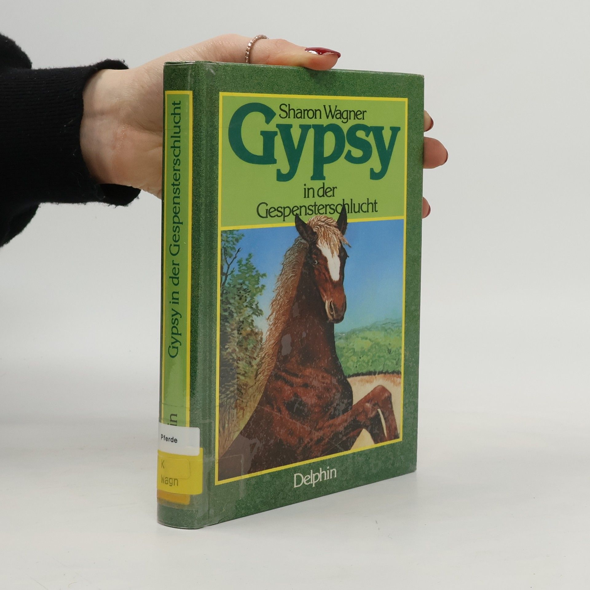 Gypsy in der Gespensterschlucht