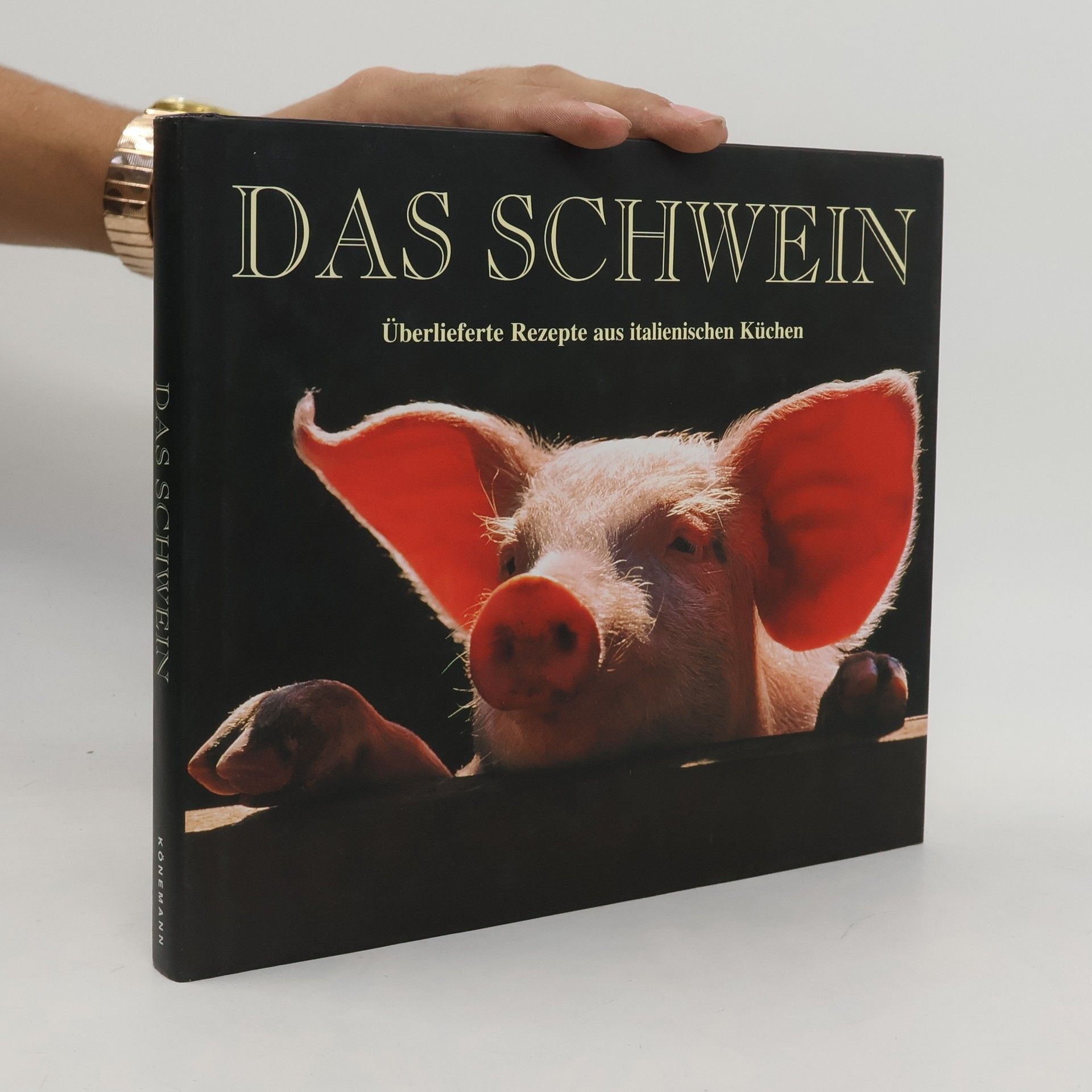 Daniela Garavini Das Schwein