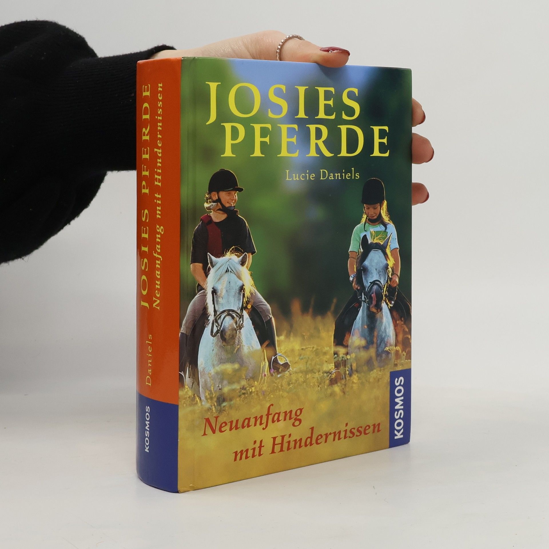 Lucy Daniels Josies Pferde - Neuanfang mit Hindernissen