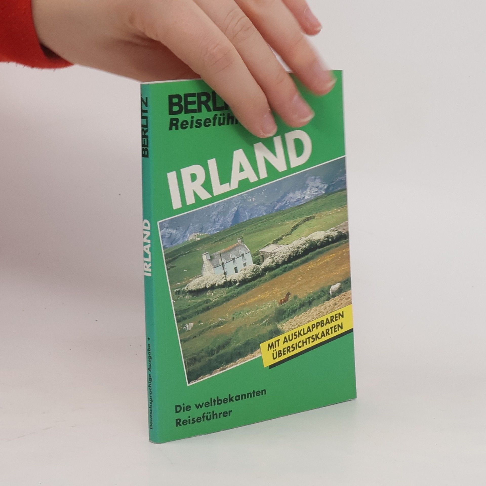 Ken Bernstein Irland