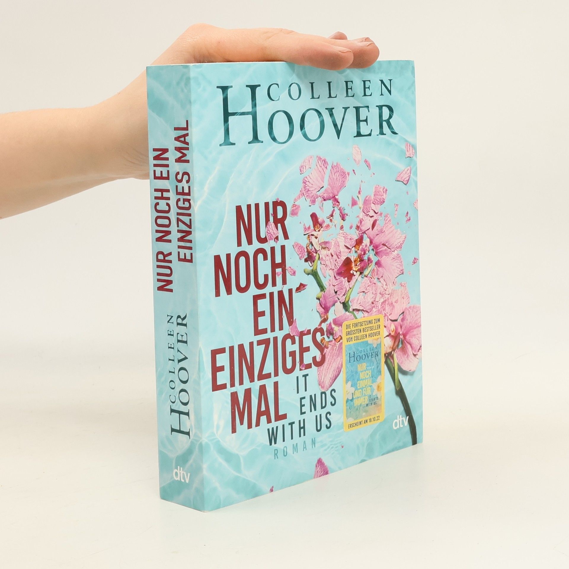 Colleen Hoover Nur noch ein einziges Mal