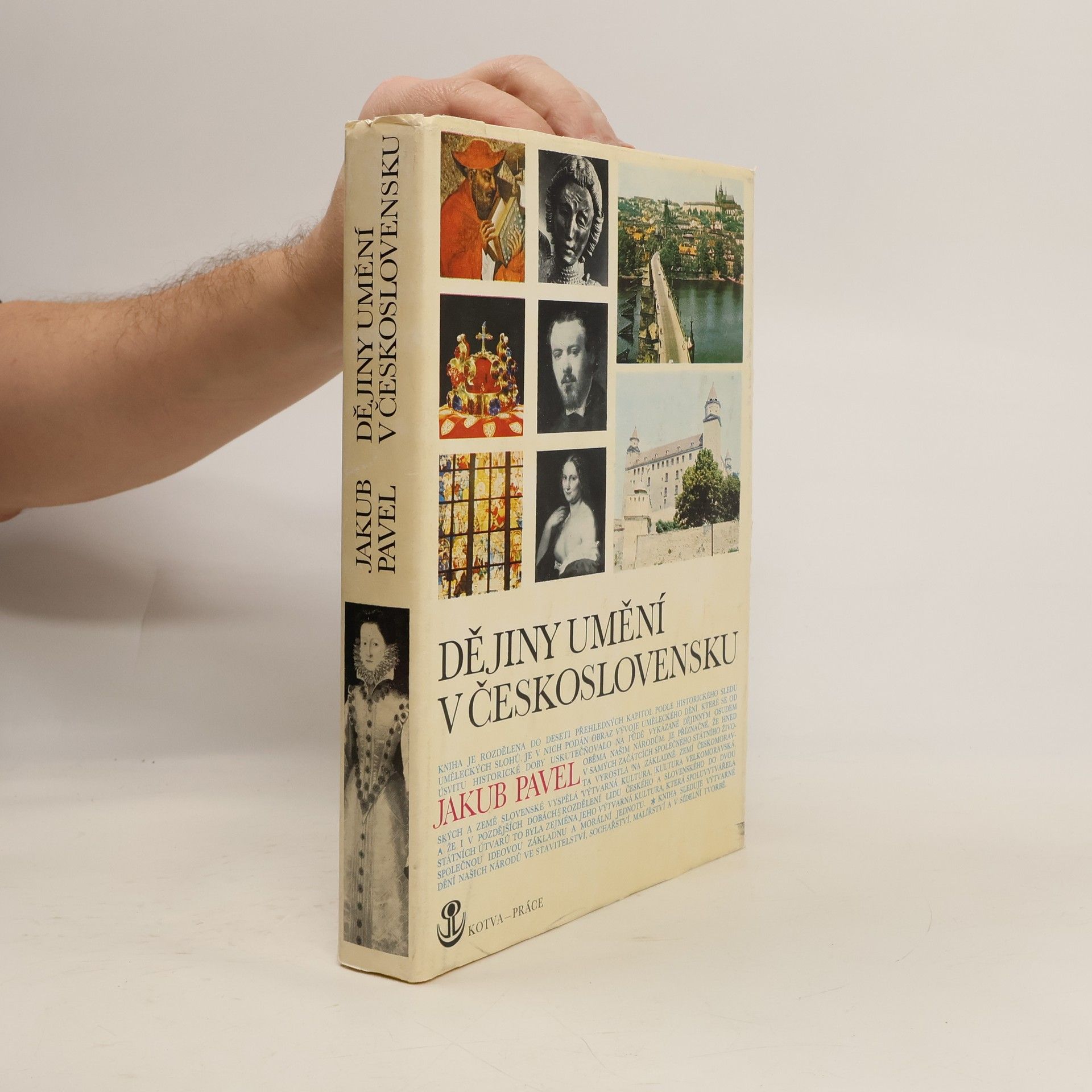 Jakub Pavel Dějiny umění v Československu