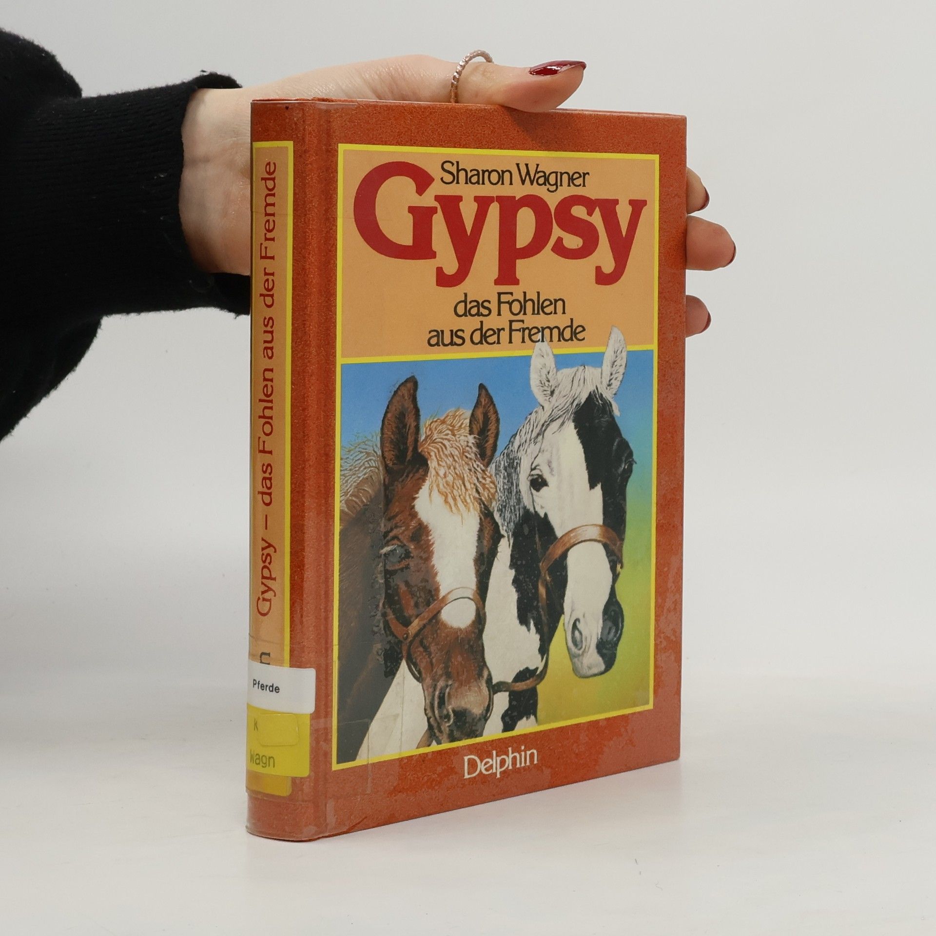 Gypsy, das Fohlen aus der Fremde