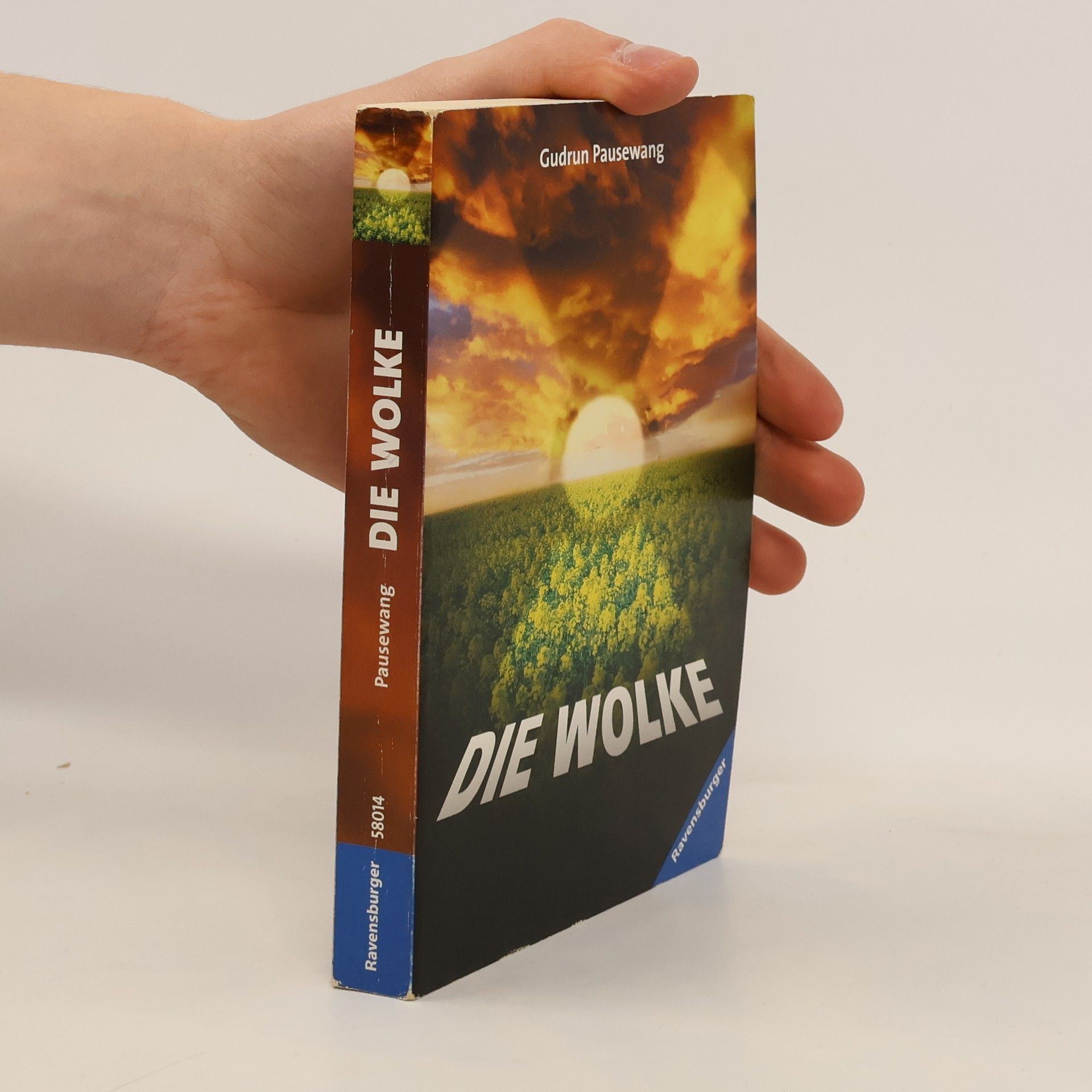 Gudrun Pausewang Die Wolke