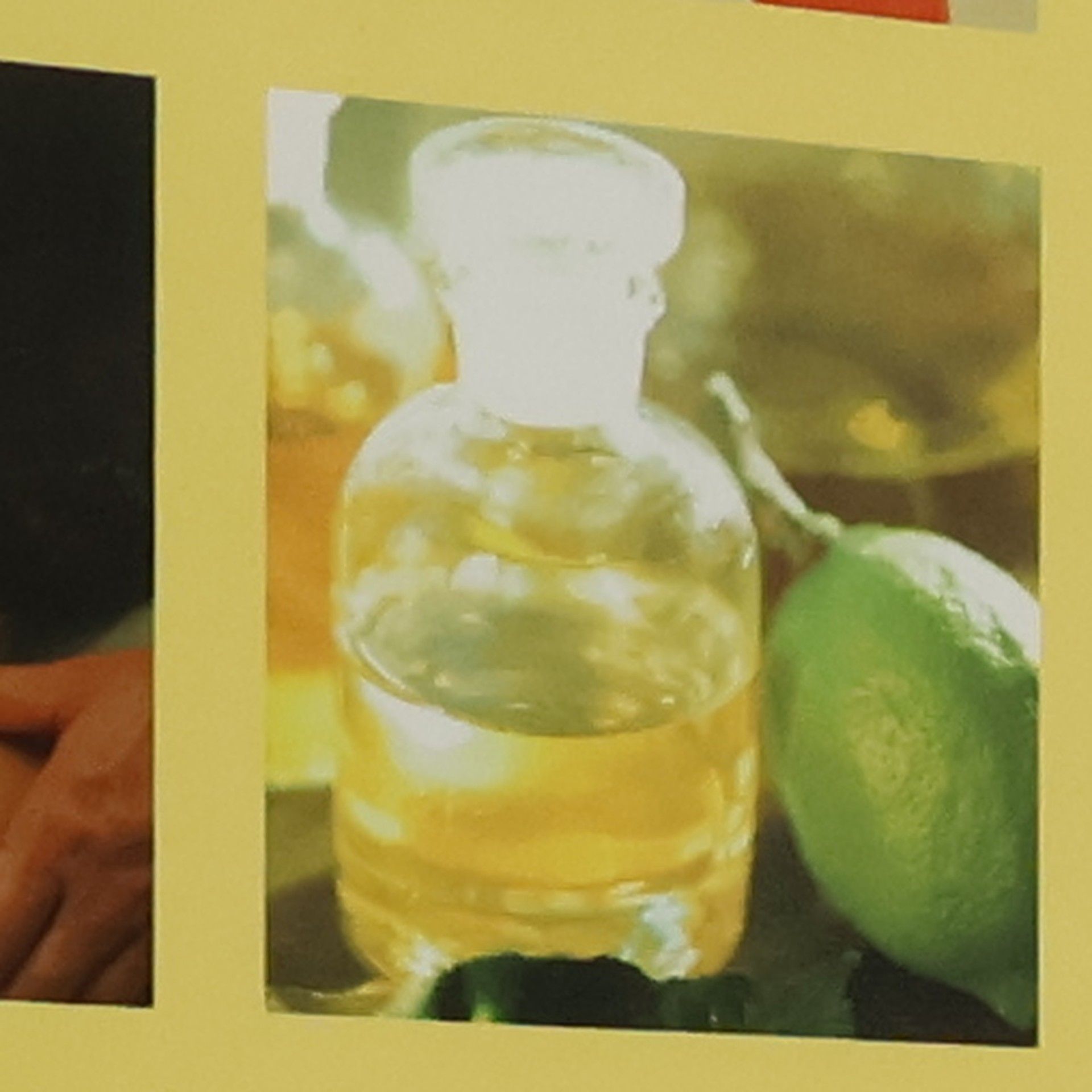 DuMonts große Enzyklopädie Naturheilkunde