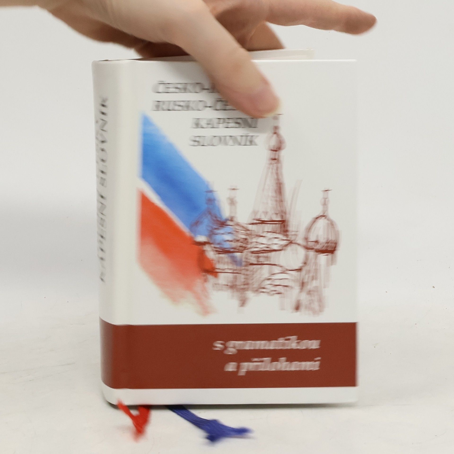 Česko-ruský, rusko-český kapesní slovník: S gramatikou a přílohami