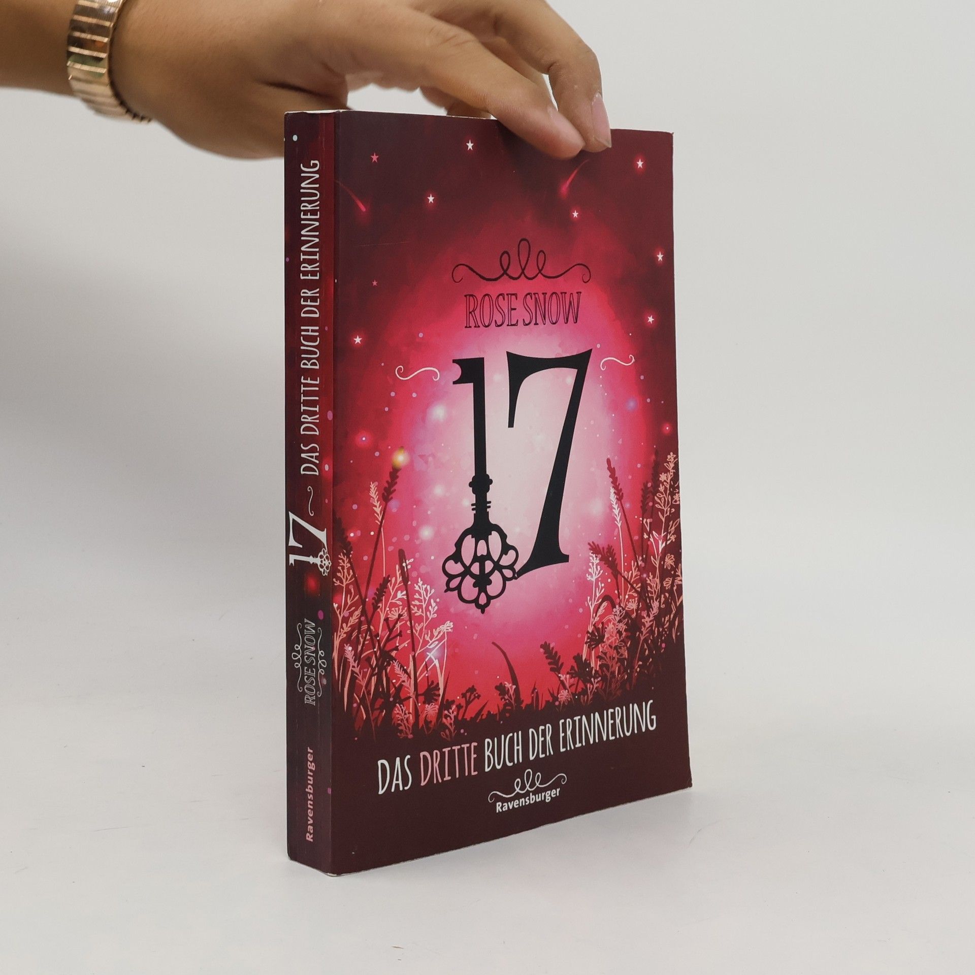 Rosie Snow 17: Das dritte Buch der Erinnerung