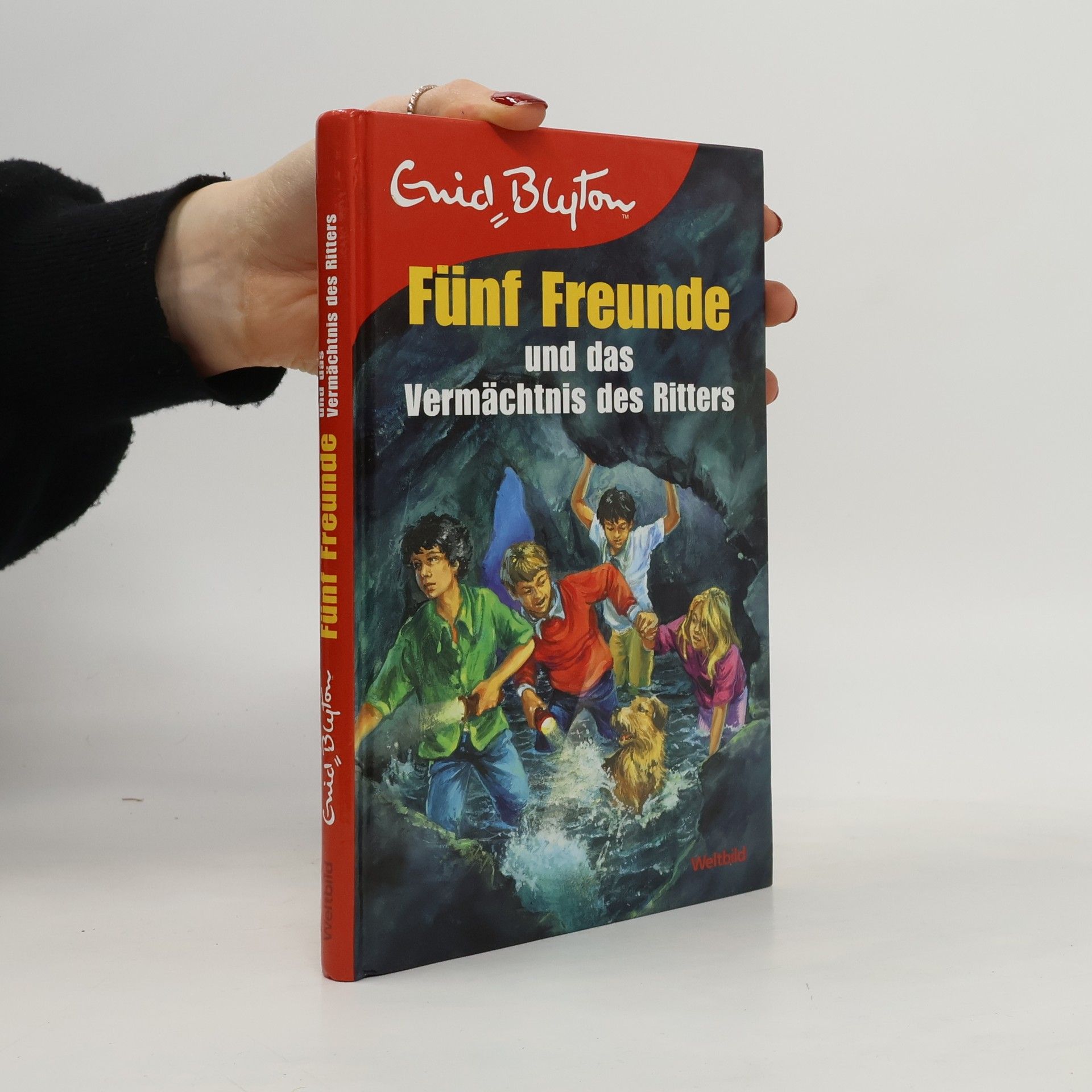 Enid Blyton Fünf Freunde und das Vermächtnis des Ritters