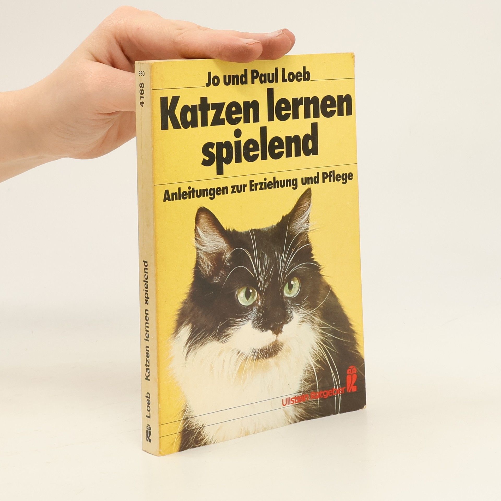 Katzen lernen spielend