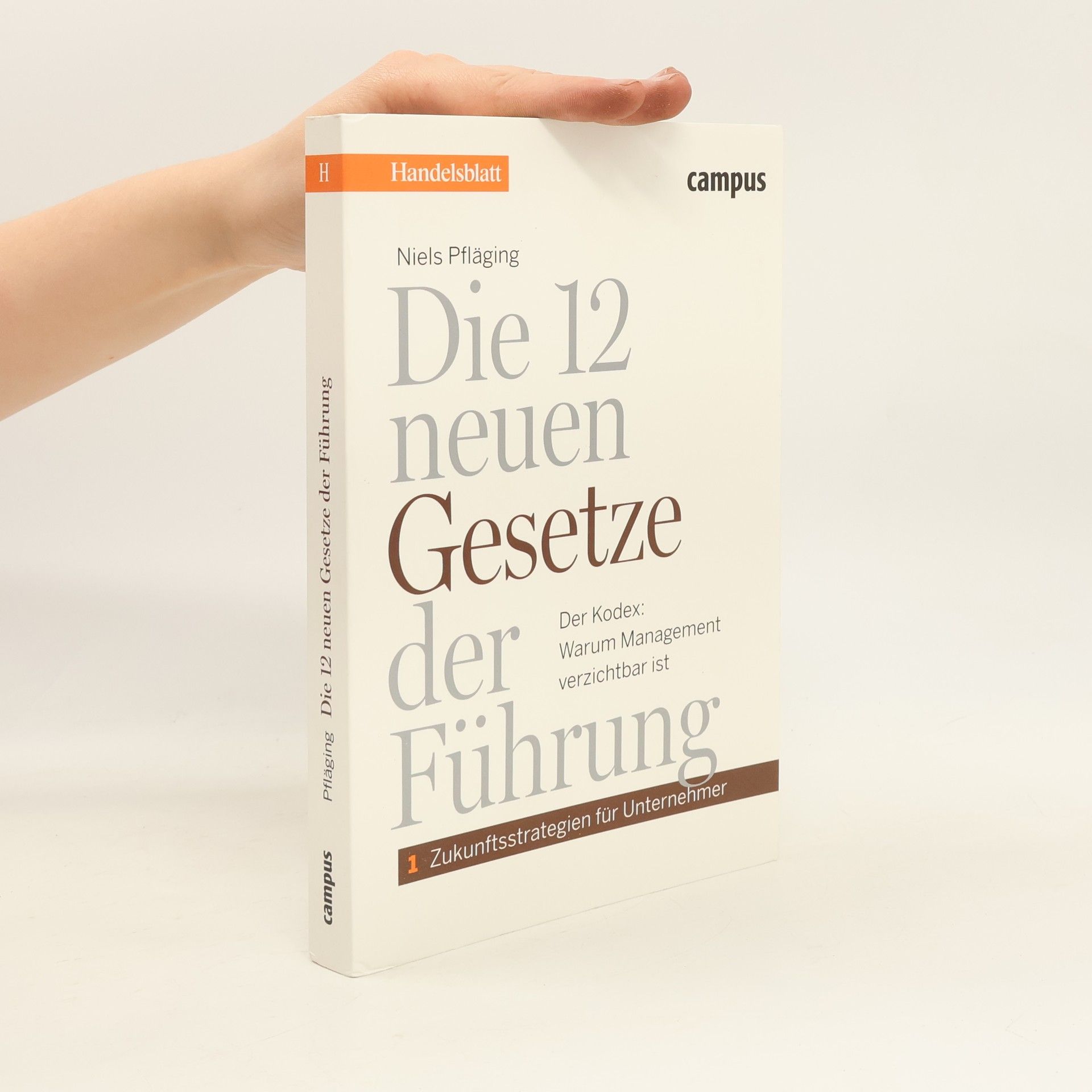 Niels Pfläging Die 12 neuen Gesetze der Führung