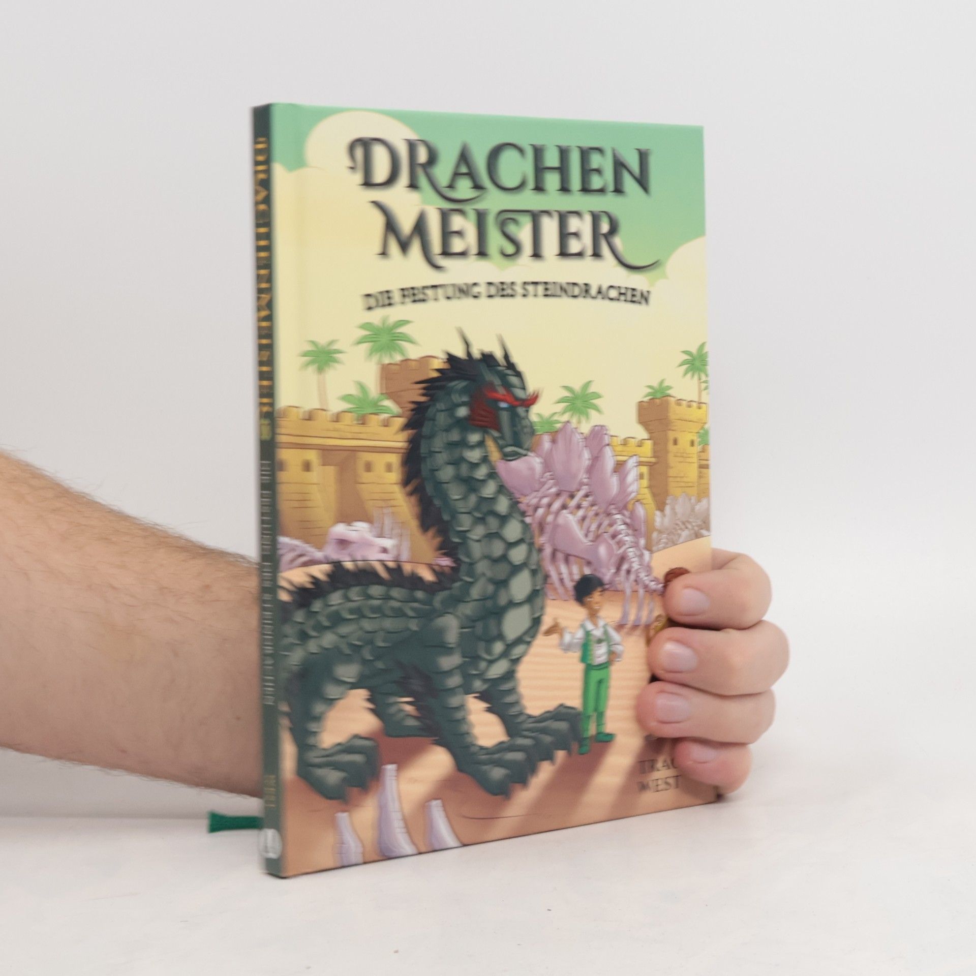 Tracey West Drachenmaster 17: Die Festung des Steindrachen