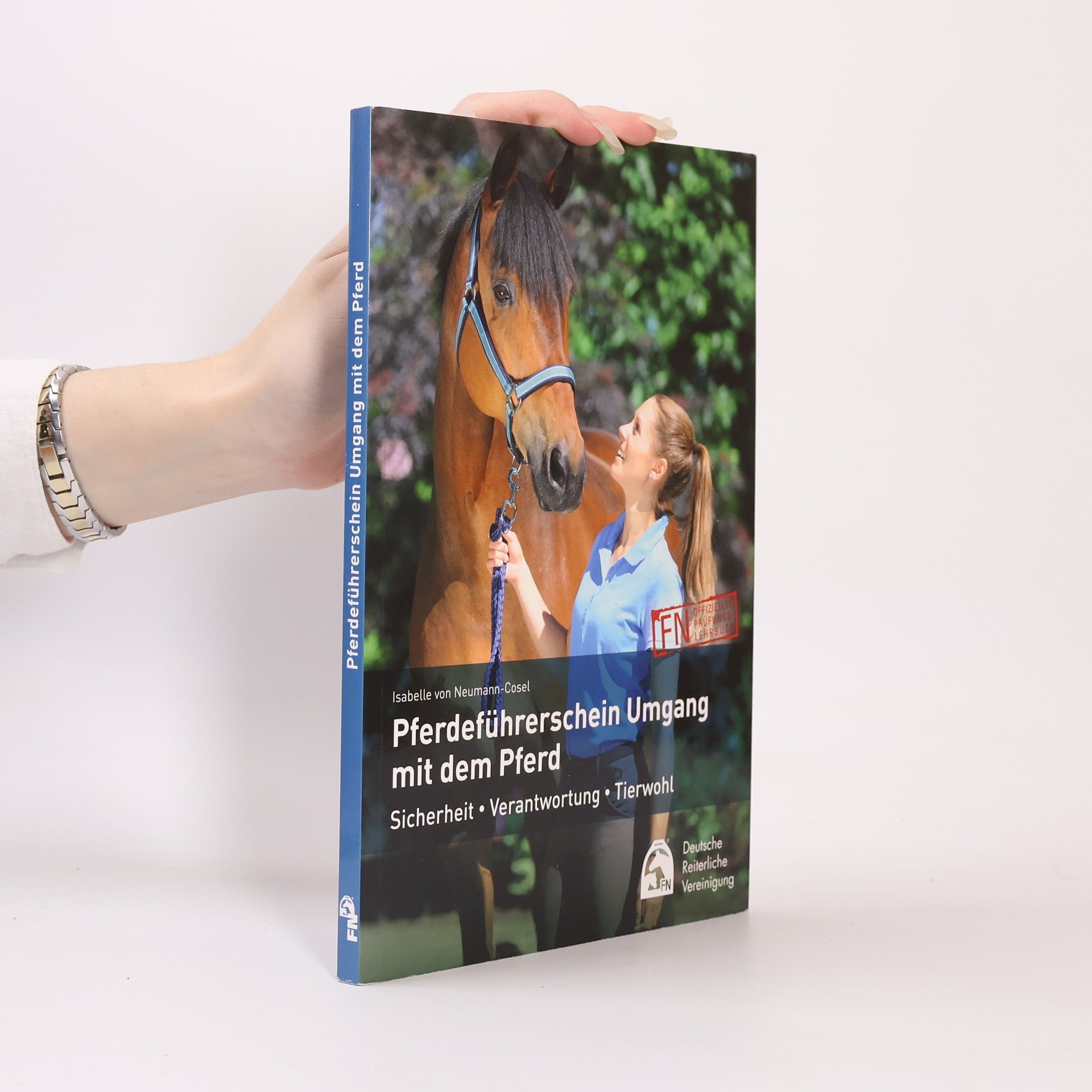 Pferdeführerschein Umgang mit dem Pferd