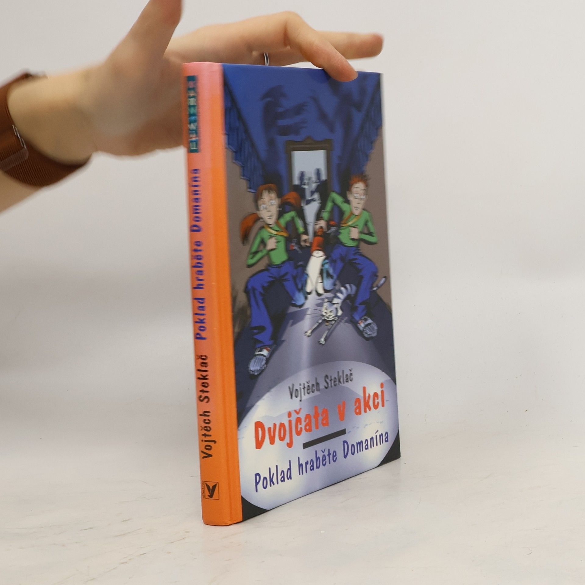 Dvojčata v akci. Poklad hraběte Domanína