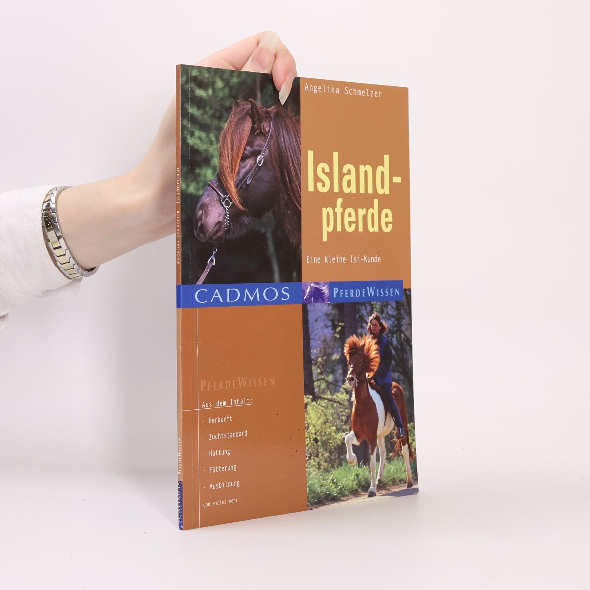 Angelika Schmelzer Cadmos Pferdewissen: Islandpferde