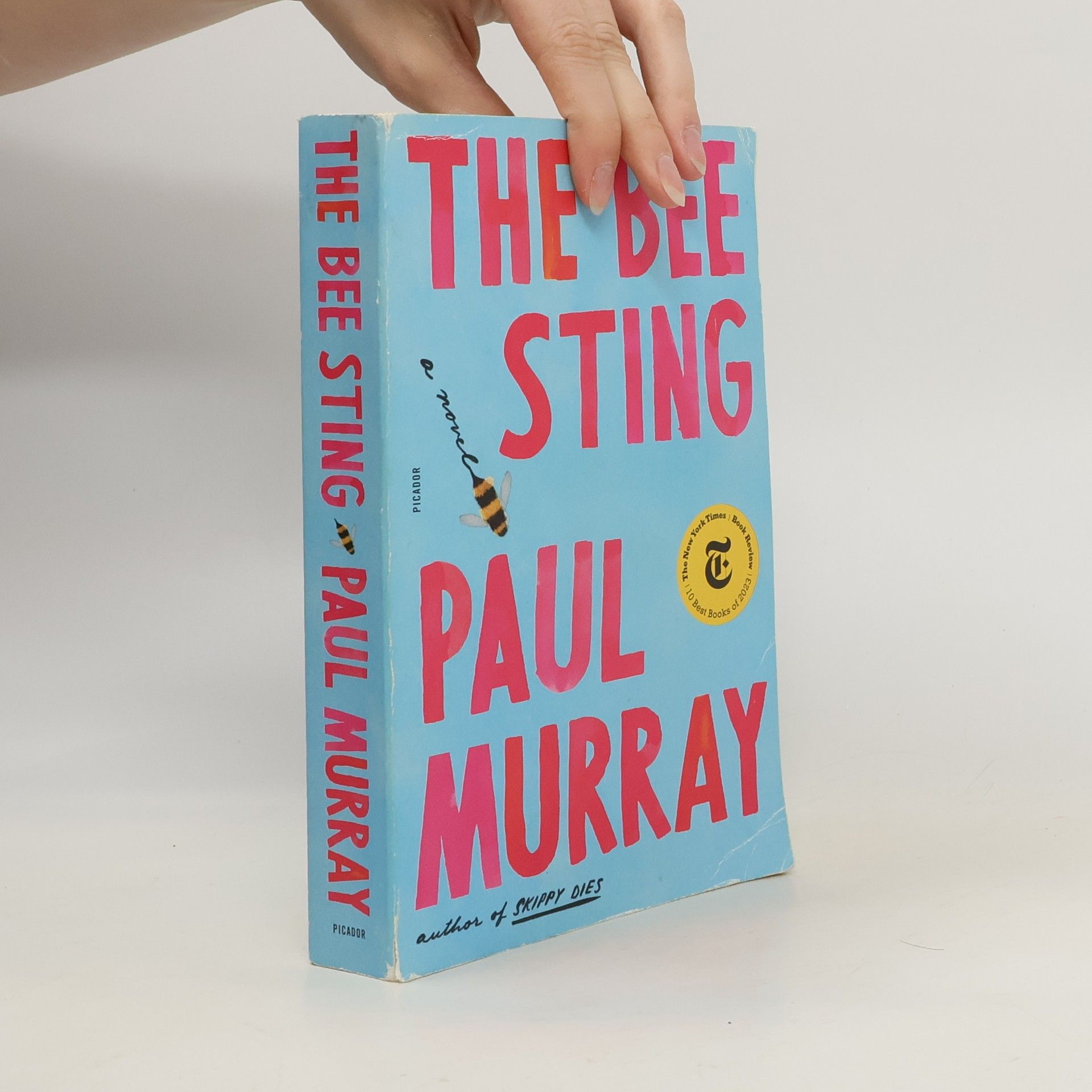 Paul Murray The Bee Sting