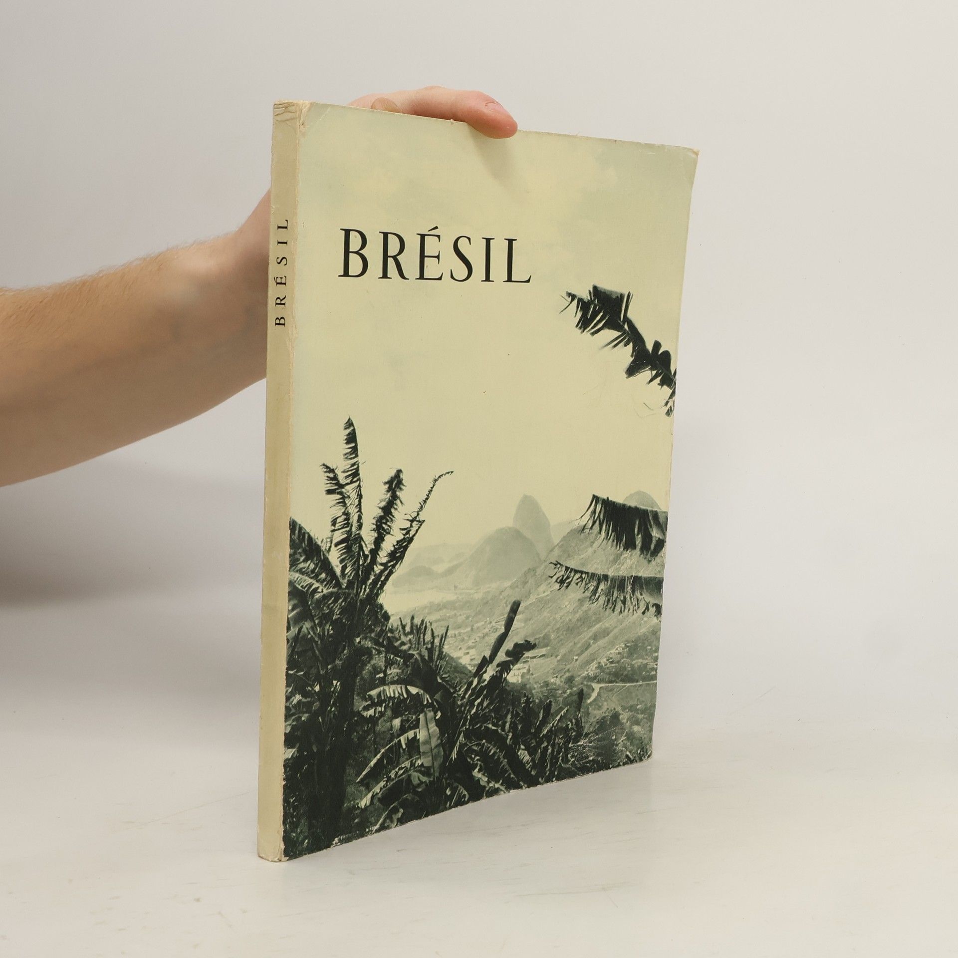 Collectif d'auteurs Brésil