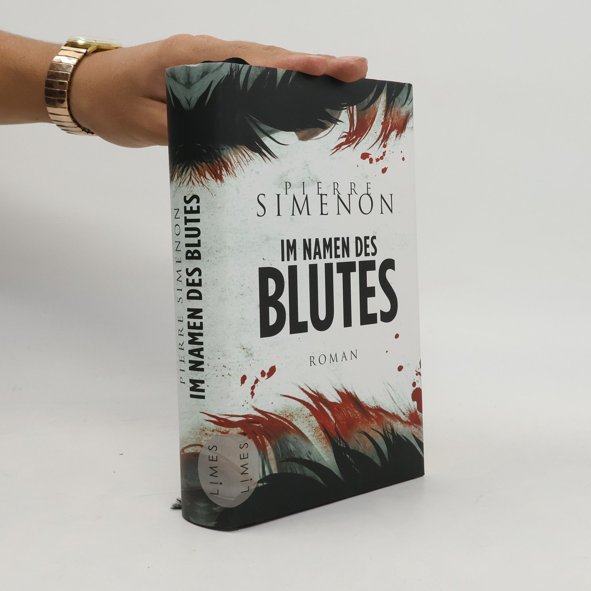 Pierre Simenon Im Namen des Blutes