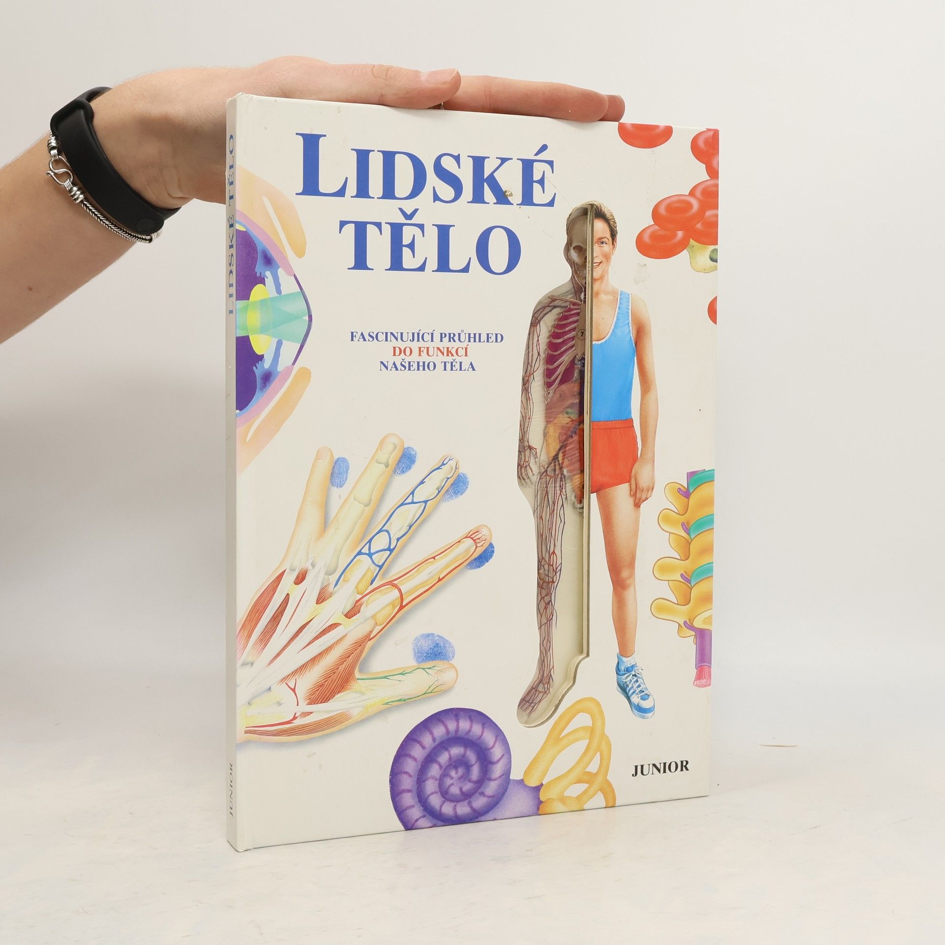 Ivo Pospíšil Lidské tělo : fascinující průhled do funkcí našeho těla