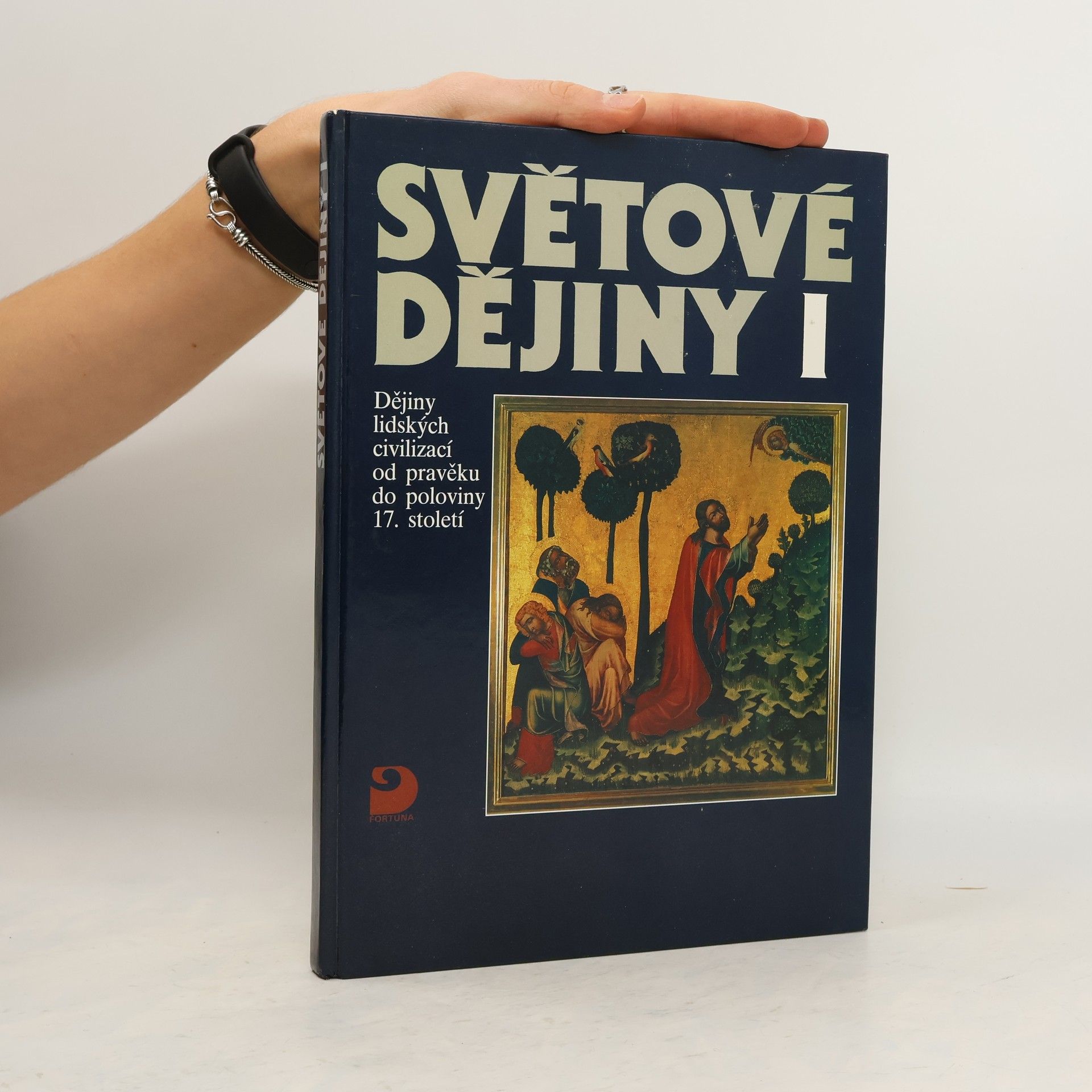 Světové dějiny I. Dějiny lidských civilizací od pravěku do poloviny 17. století