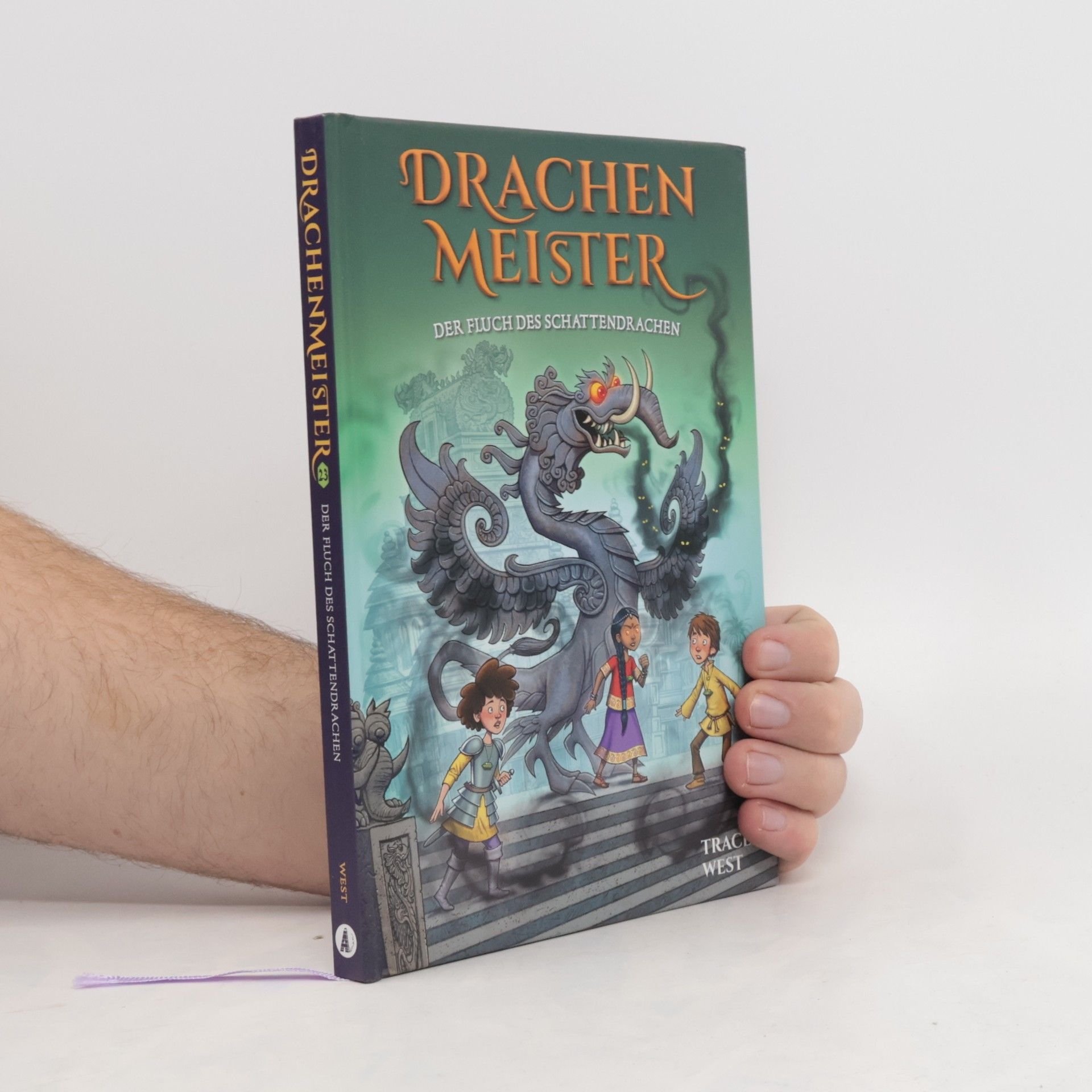 Tracey West Drachenmeister 23: Der Fluch des Schattendrachen