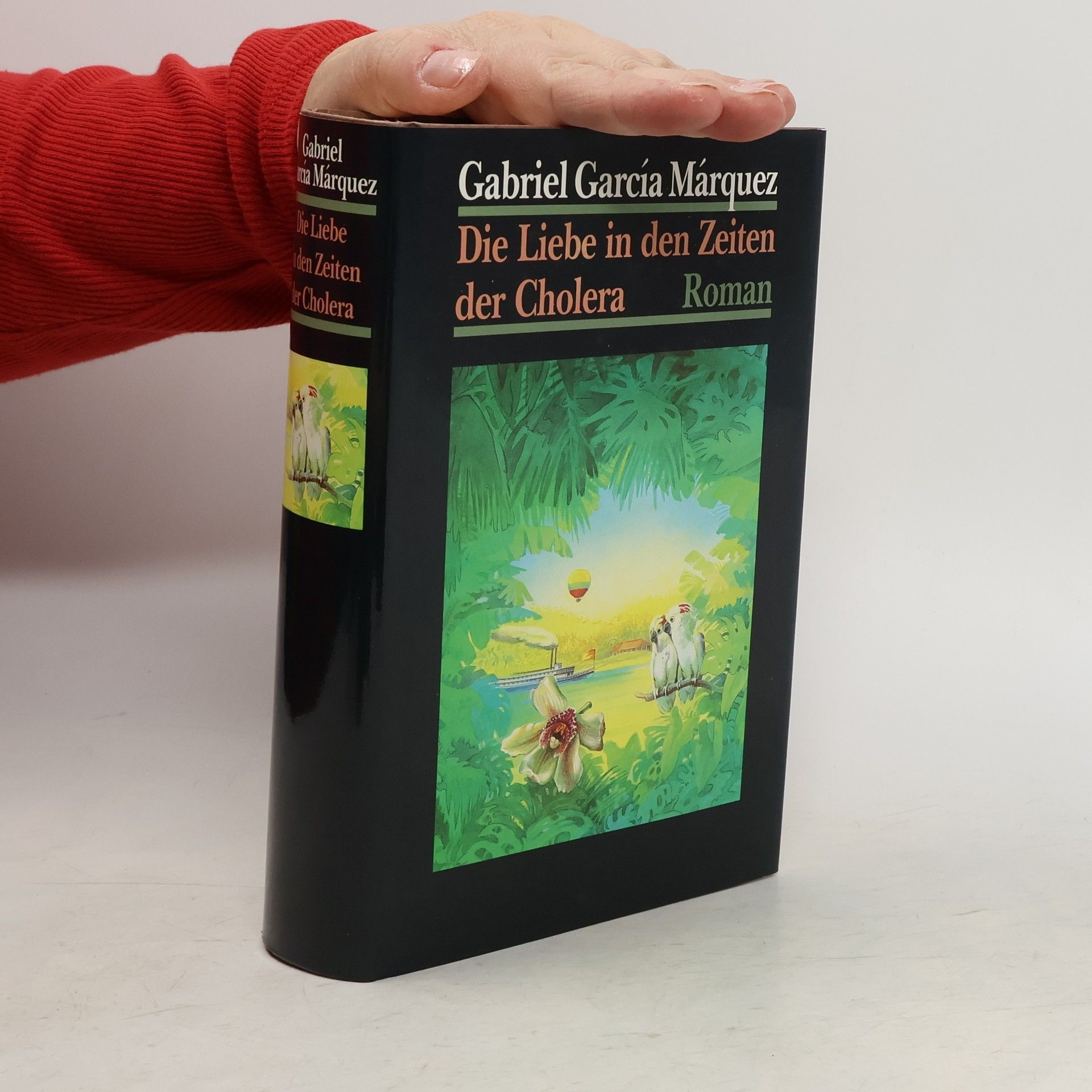 Gabriel García Márquez Die Liebe in den Zeiten der Cholera