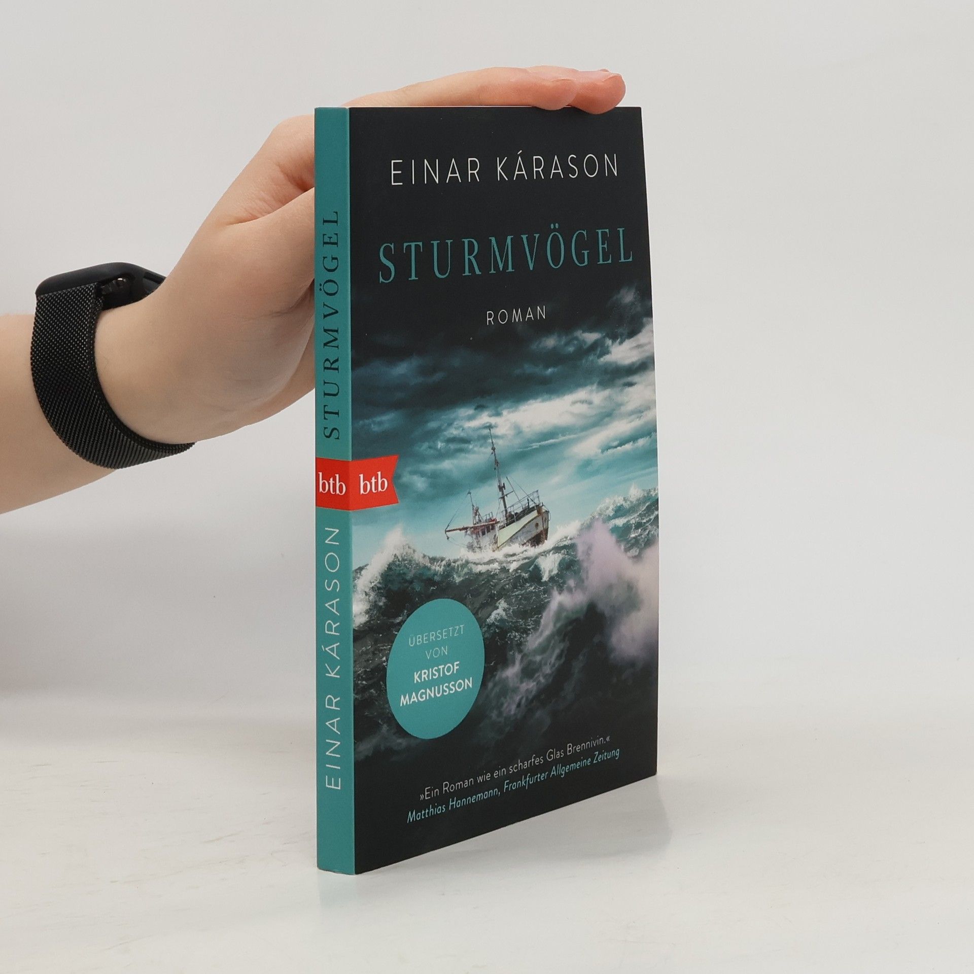 Einar Kárason Sturmvögel