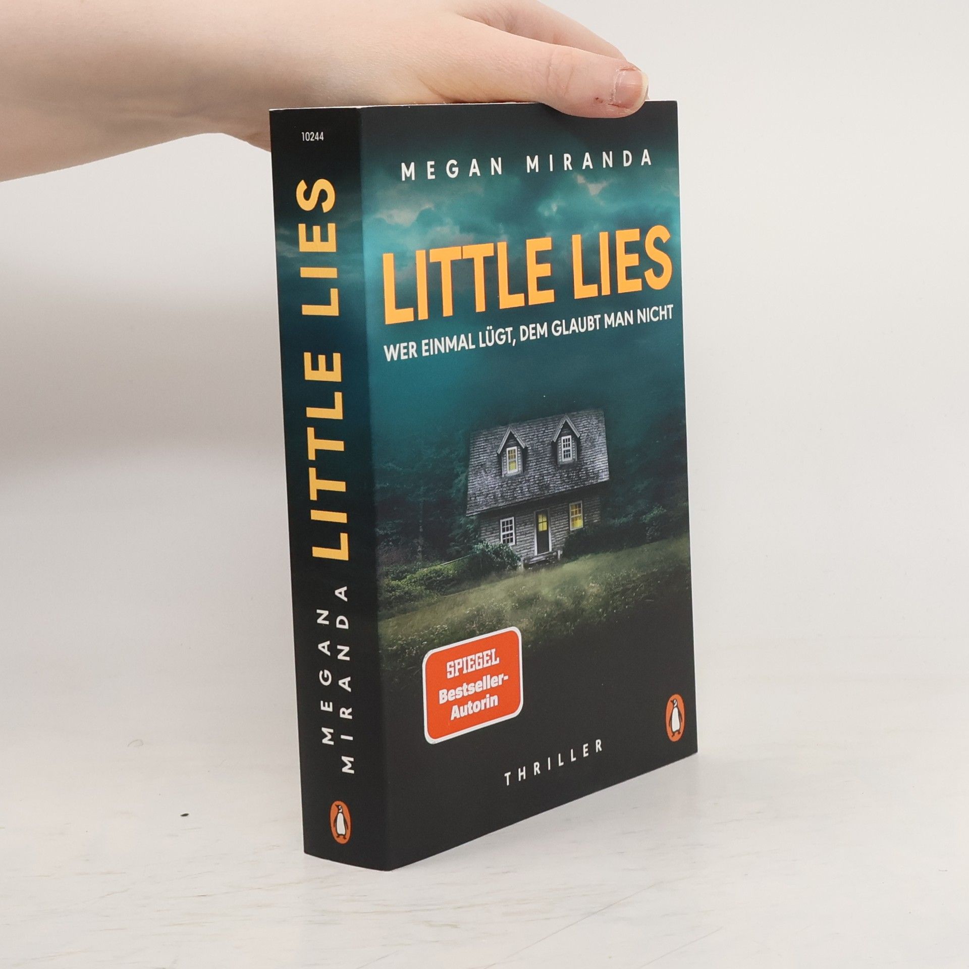 Megan Miranda LITTLE LIES – Wer einmal lügt, dem glaubt man nicht