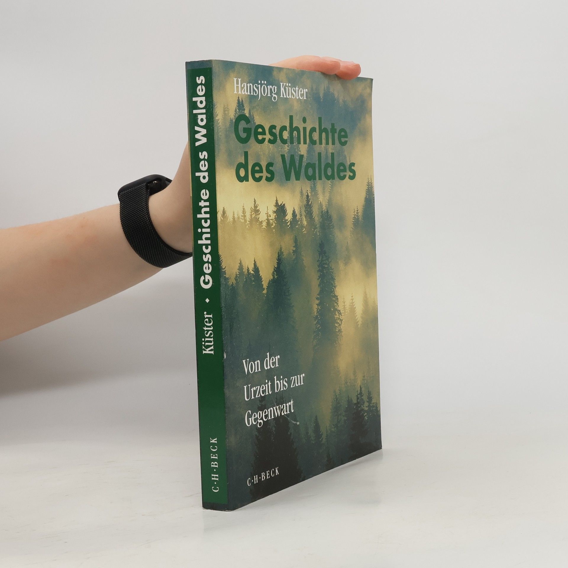 Hansjörg Küster Geschichte des Waldes